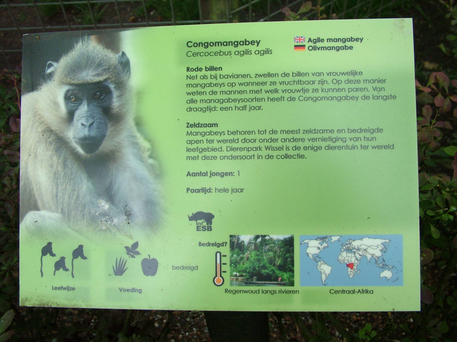 Signage Example at Wissel Zoo, Epe, 01/06/12
