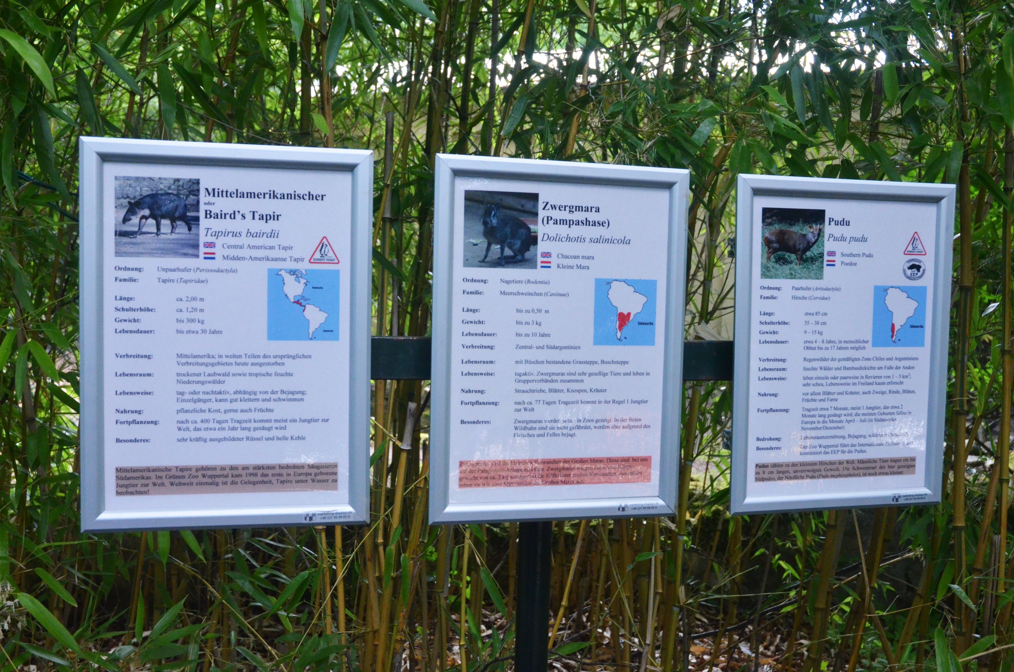 Signage Example at Wuppertal, 16/06/19