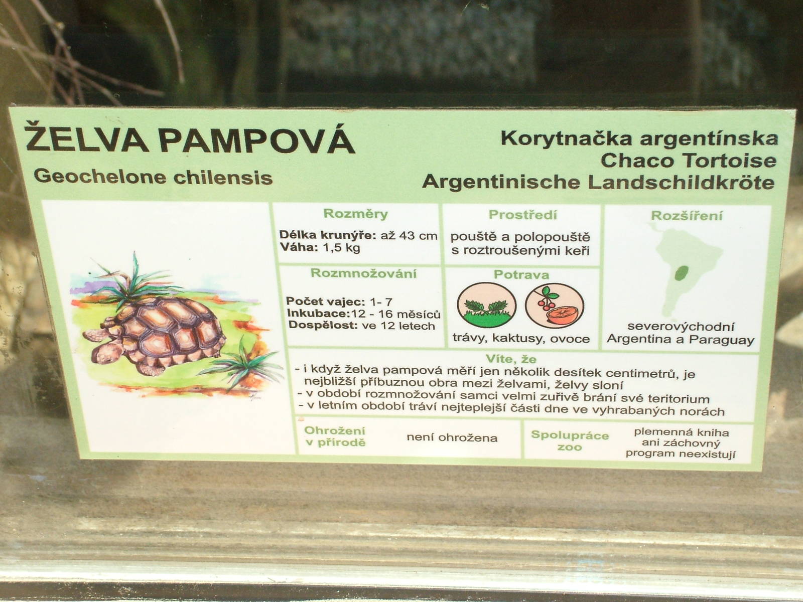 Signage example at Zlin, 28/05/10