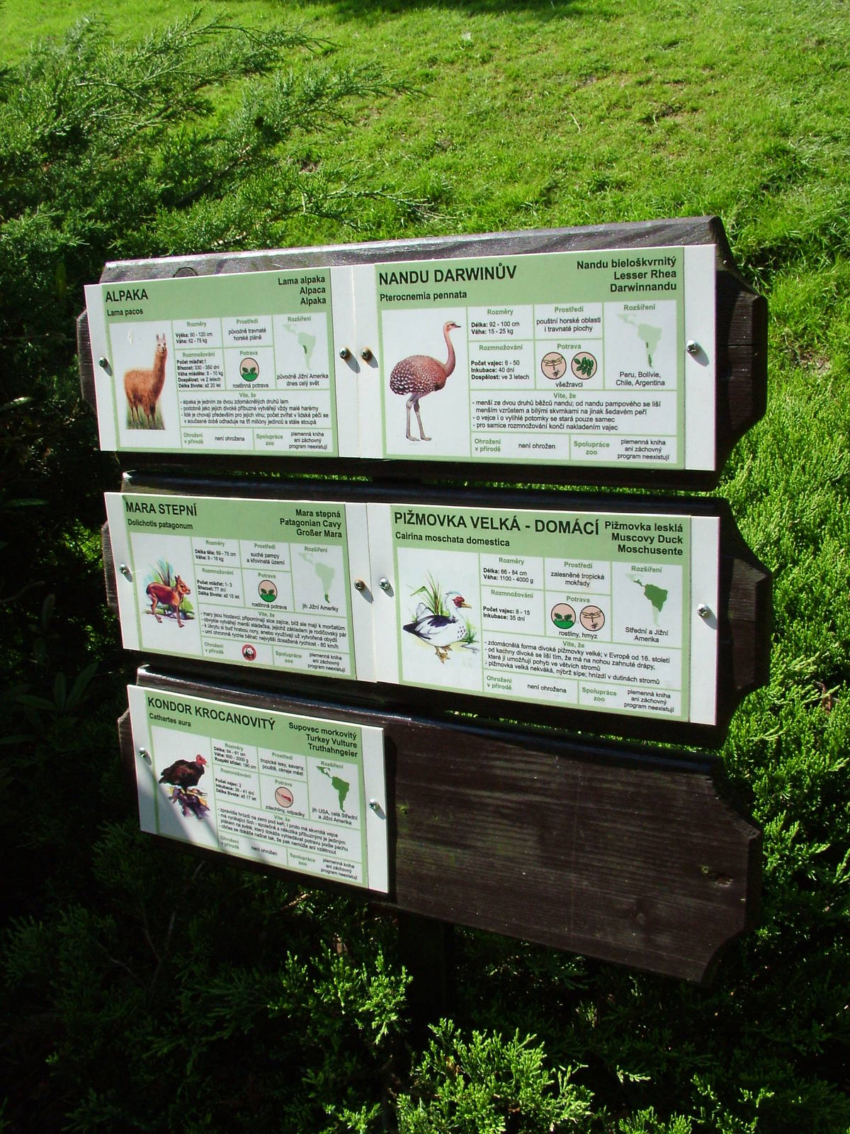 Signage example at Zlin, 28/05/10