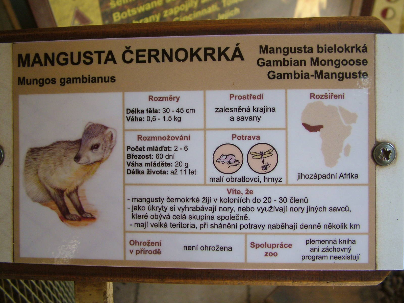 Signage example at Zlin, 28/05/10