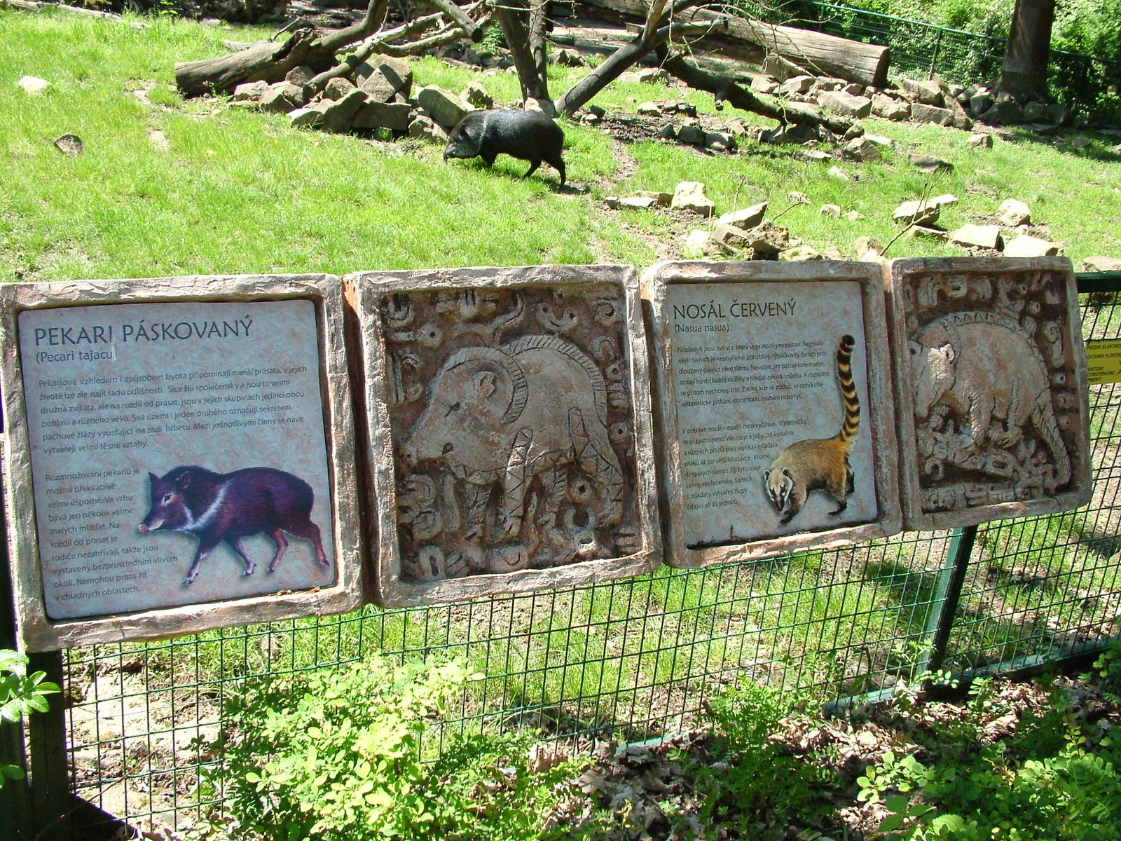 Signage example at Zlin, 28/05/10