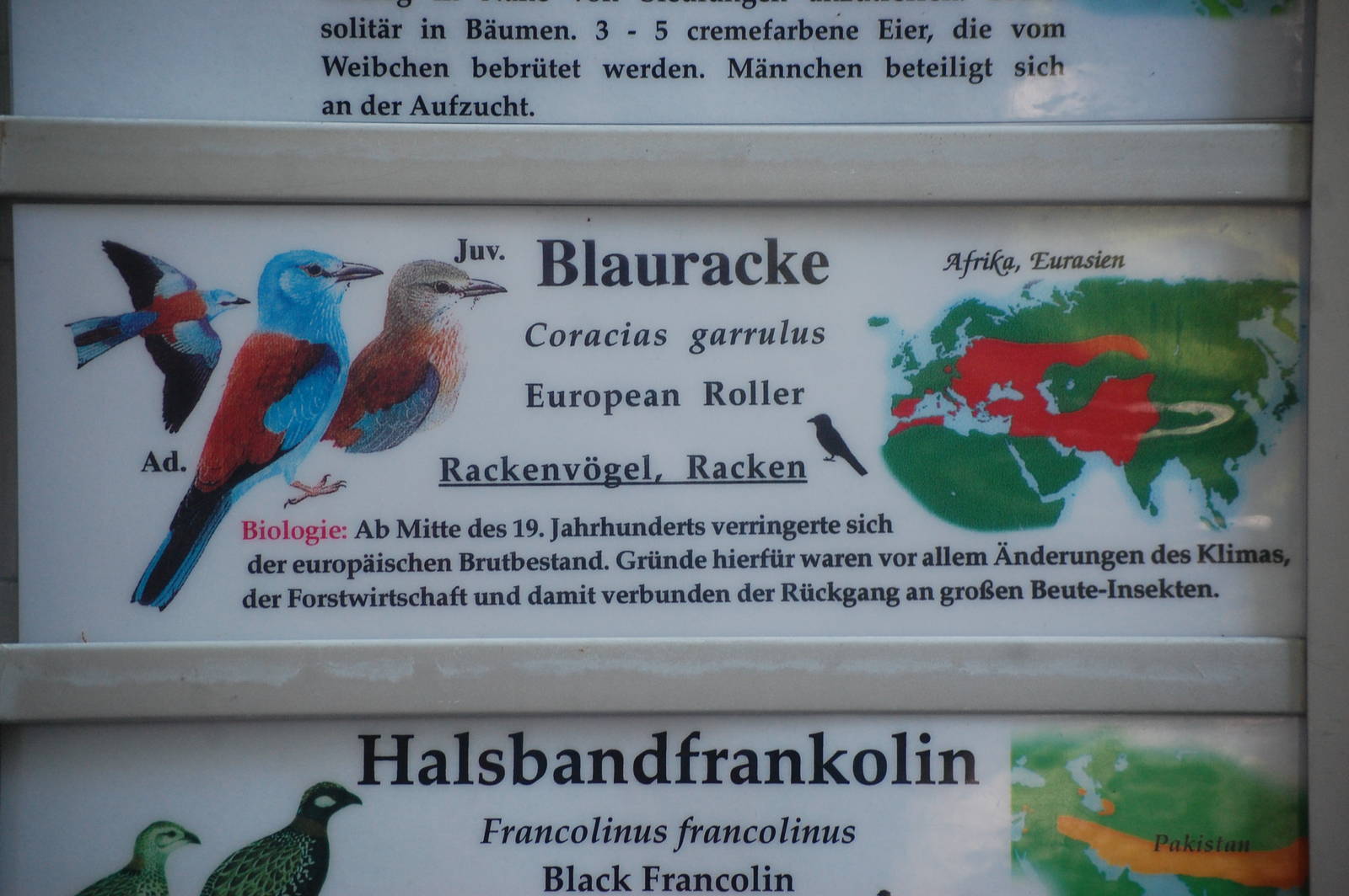 Signage Example at Zoo Berlin