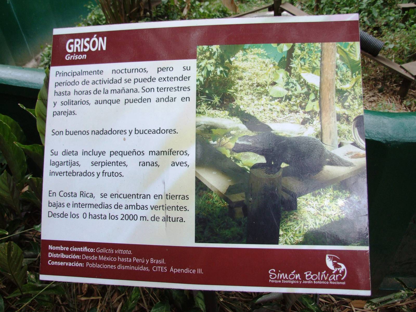 Signage Example at Zoo Simon Bolivar, 12/04/14