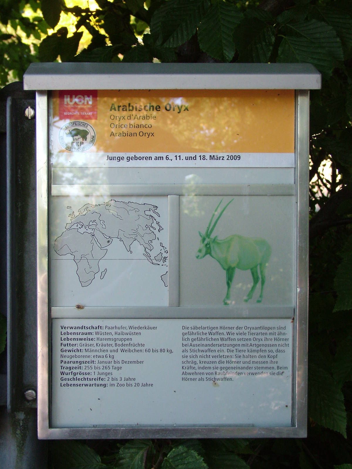 Signage example at Zurich 31/08/09