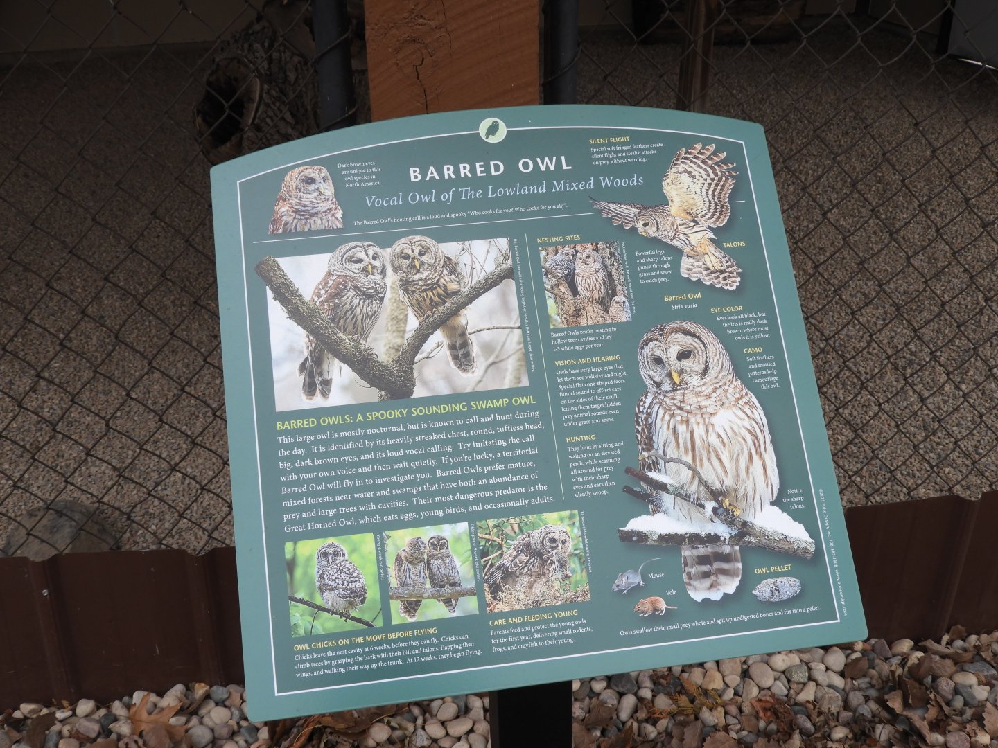Signage Example (Barred Owl)