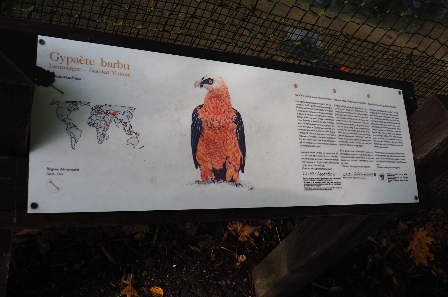 Signage example - Bearded vulture sign, 2019-10-04