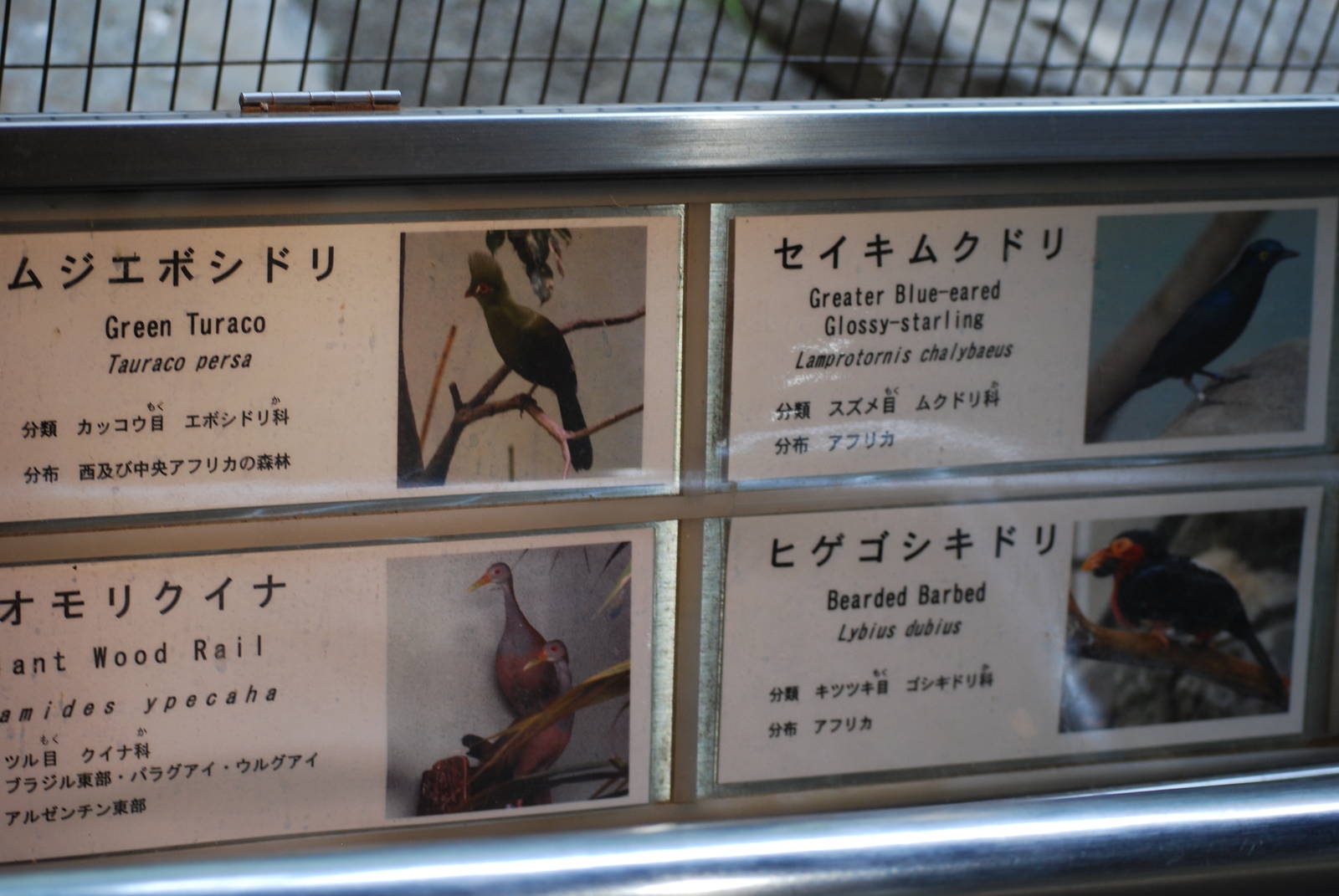 Signage example - Bird House