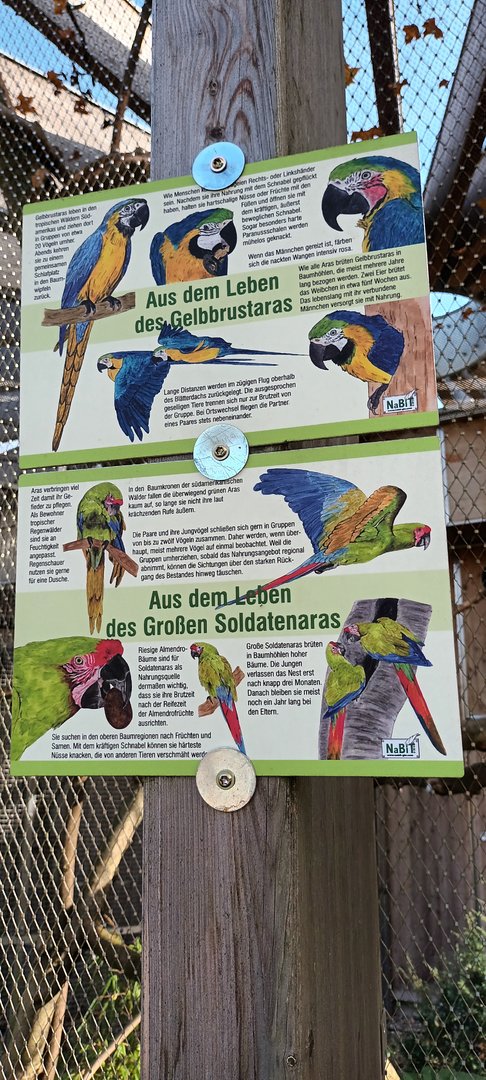 Signage Example Blue and gold Macaw, Great green Macaw