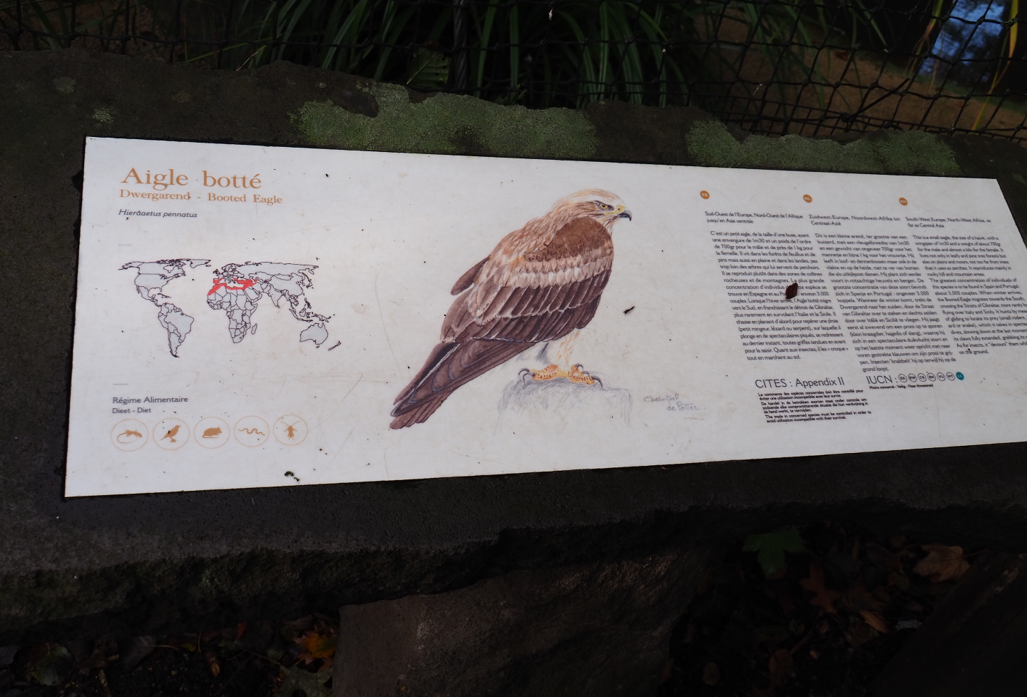 Signage example - Booted eagle sign, 2019-10-04