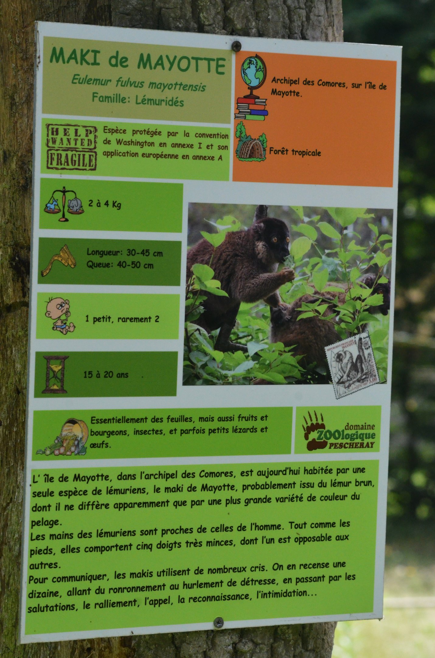 Signage Example (Brown ('Mayotte') Lemur) at Pescheray, 13/06/18