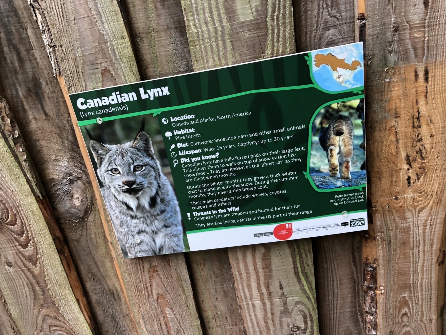 Signage Example (Canadian Lynx) at Northumberland Country Zoo (September 2021)