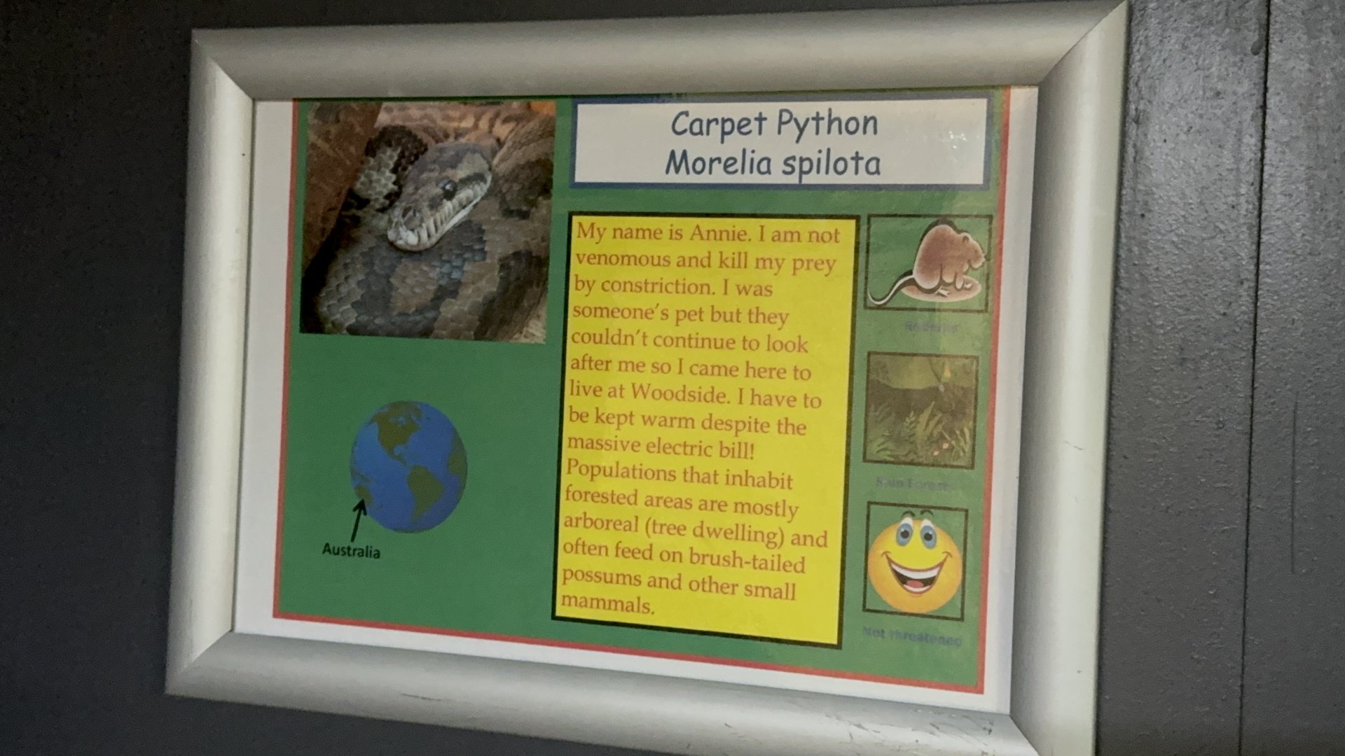 Signage Example (Carpet Python) at Woodside Wildlife Park (May 2024)