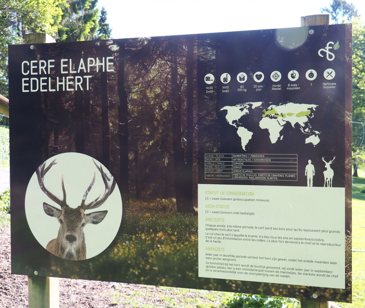 Signage example - Central European red deer, 2021-05-29