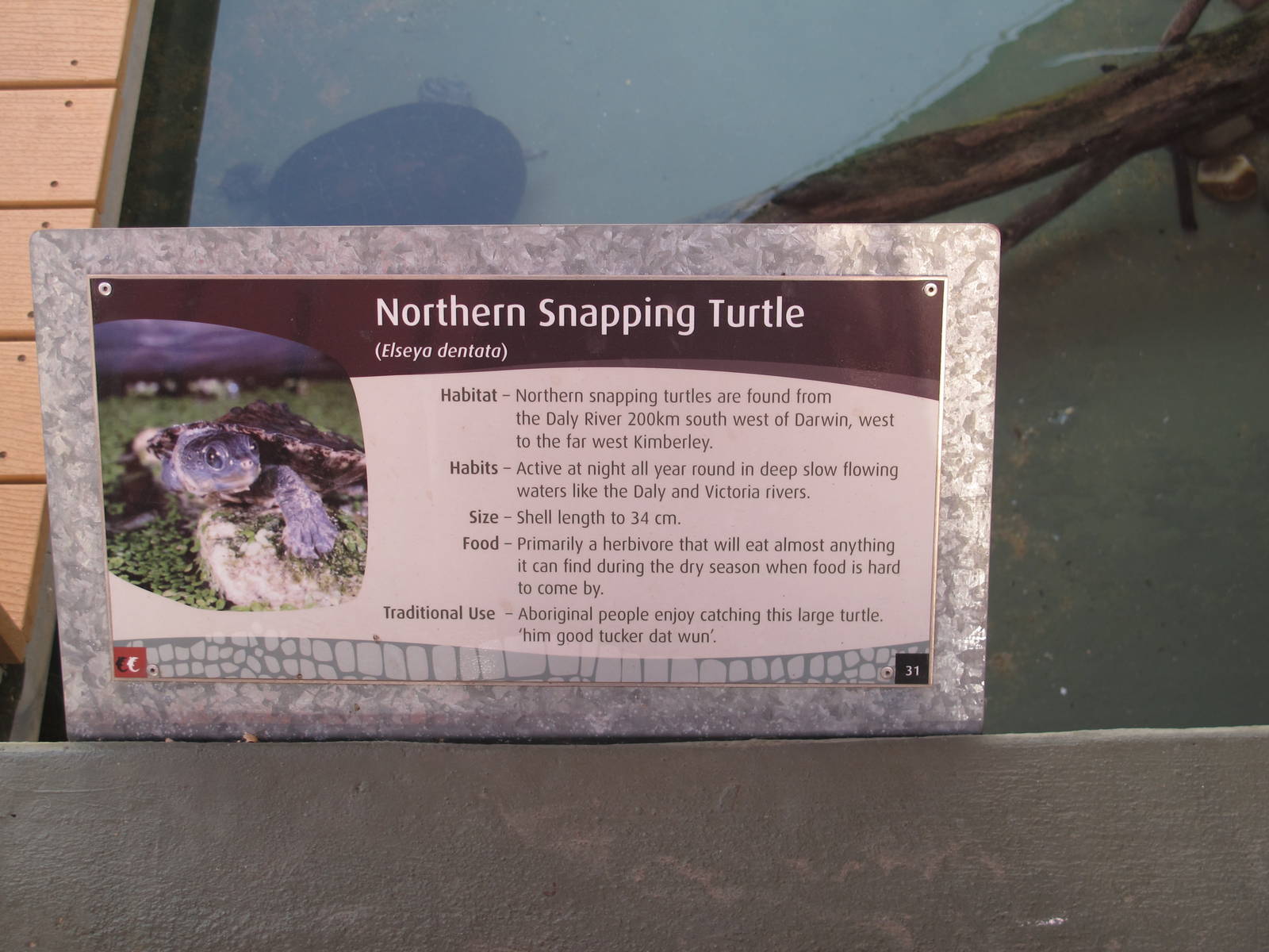 Signage Example - Crocosaurus Cove