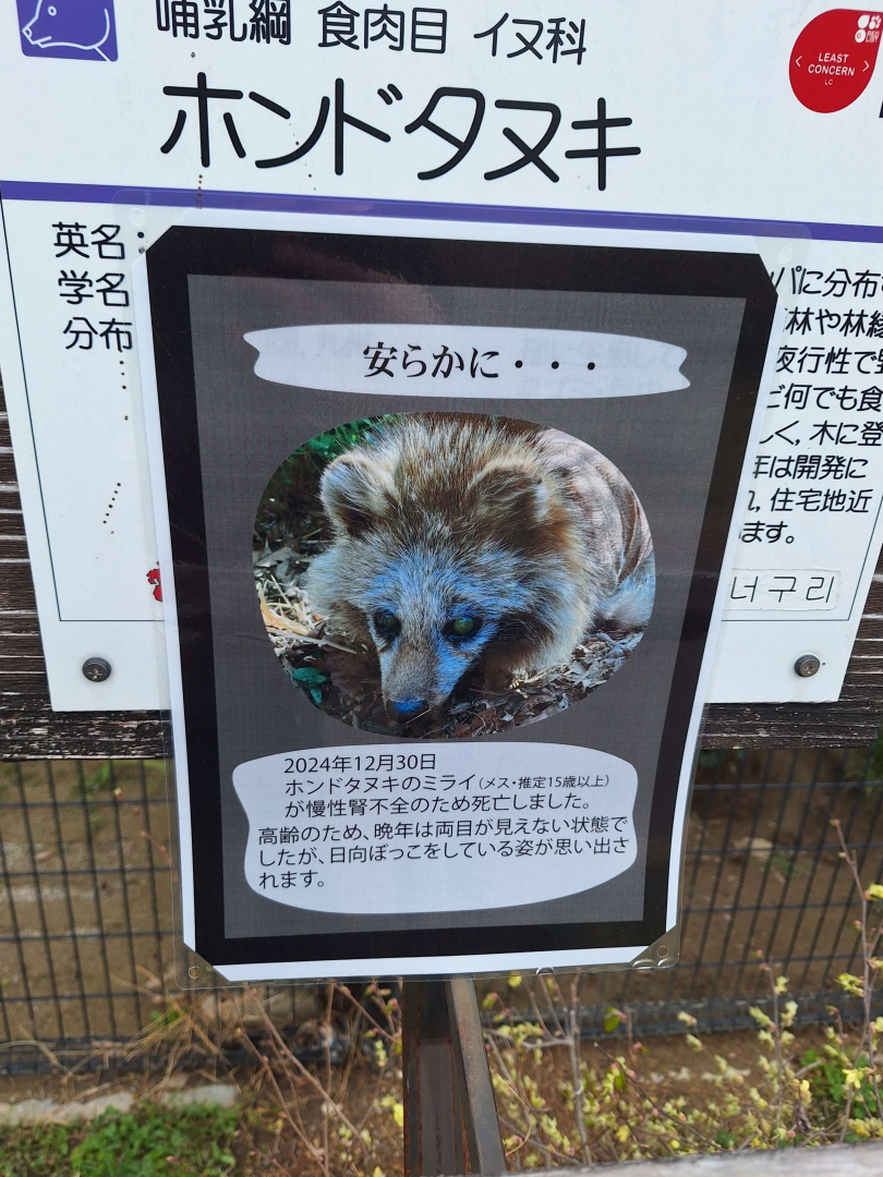 Signage example - death of Tanuki