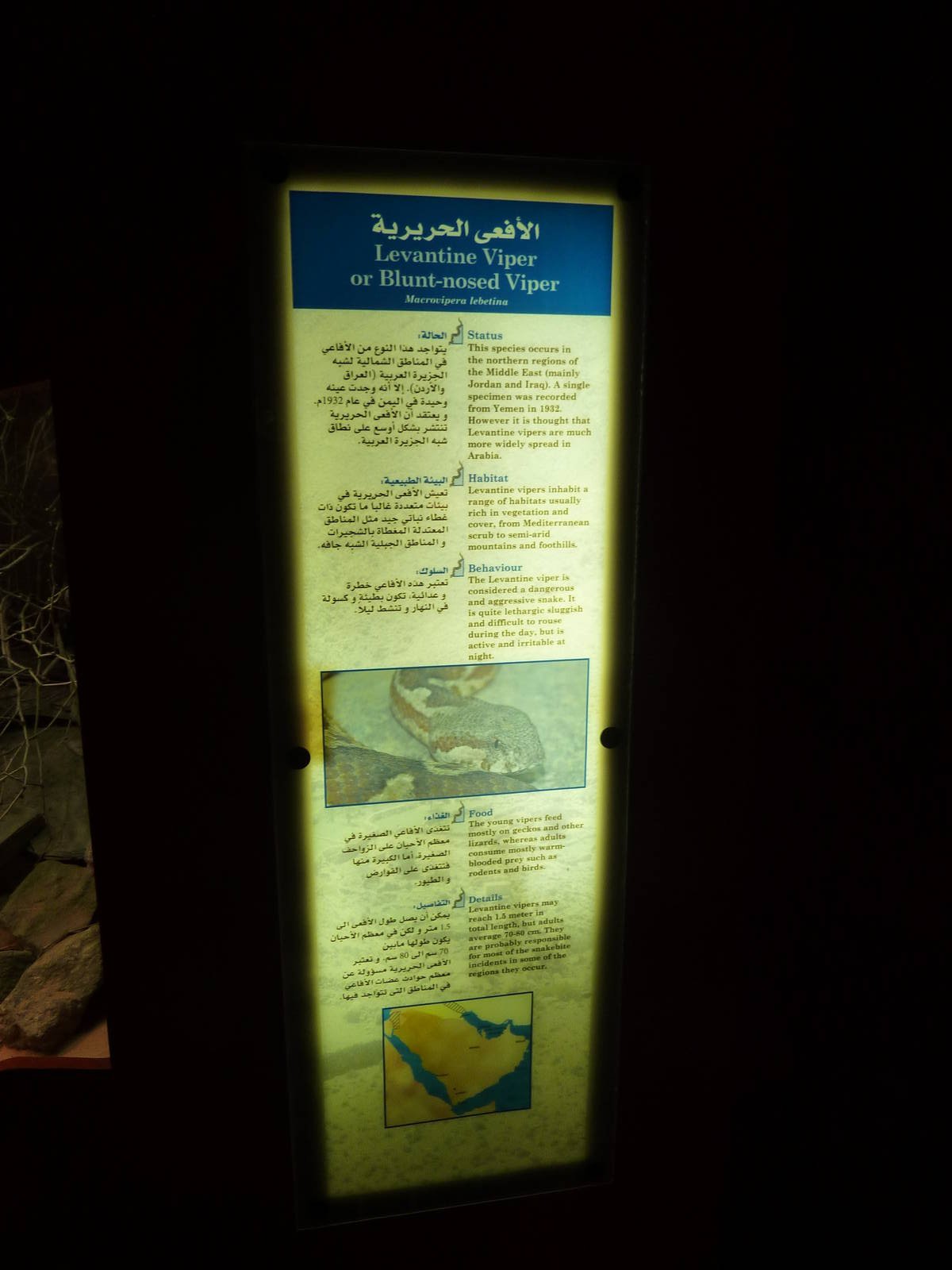 Signage example, December 2011.