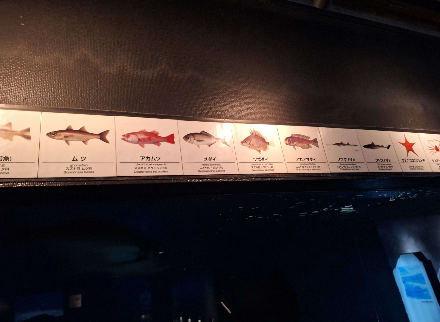 Signage example - deep sea tanks