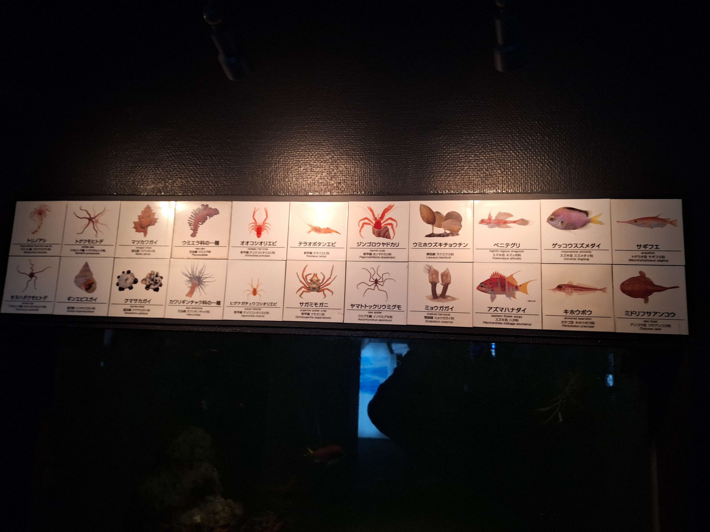 Signage example - deep sea tanks