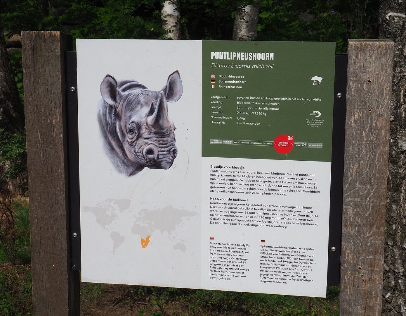 Signage example - Eastern black rhinoceros, 2022-06-12