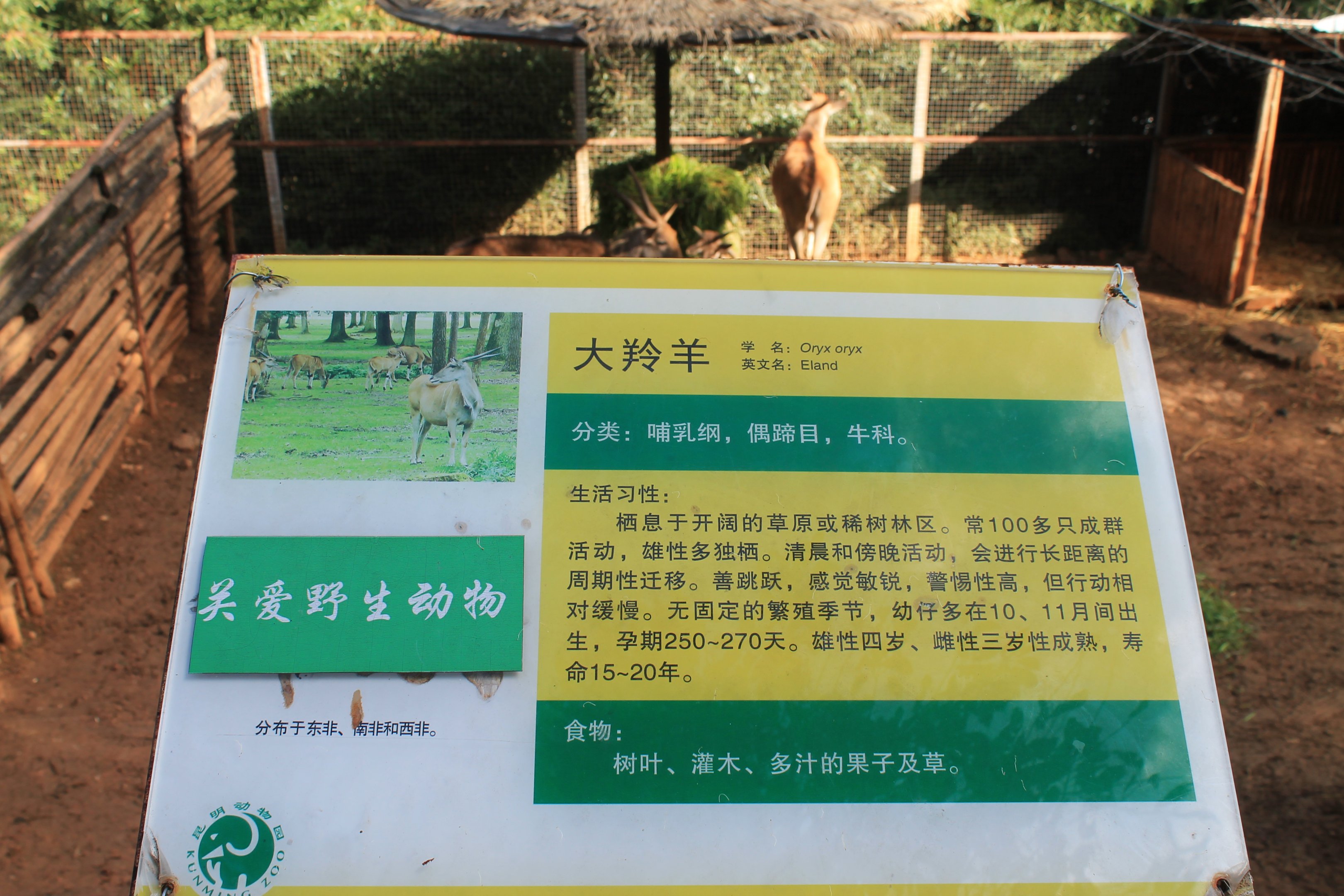 Signage example (Eland)