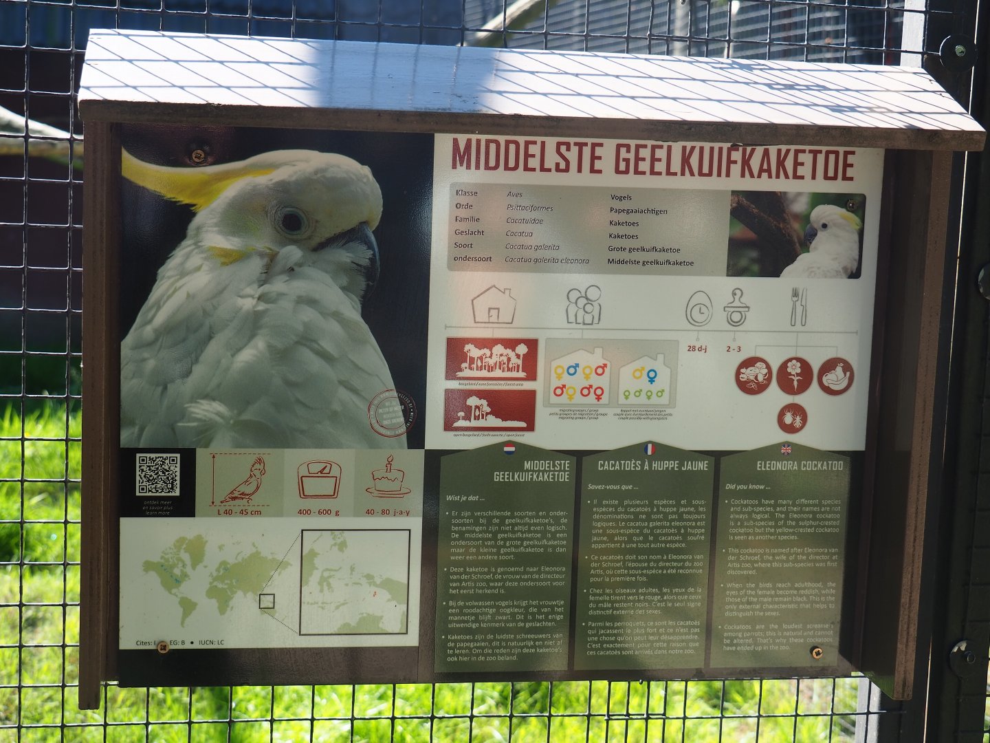 Signage example - Eleonora cockatoo, 2020-06-20