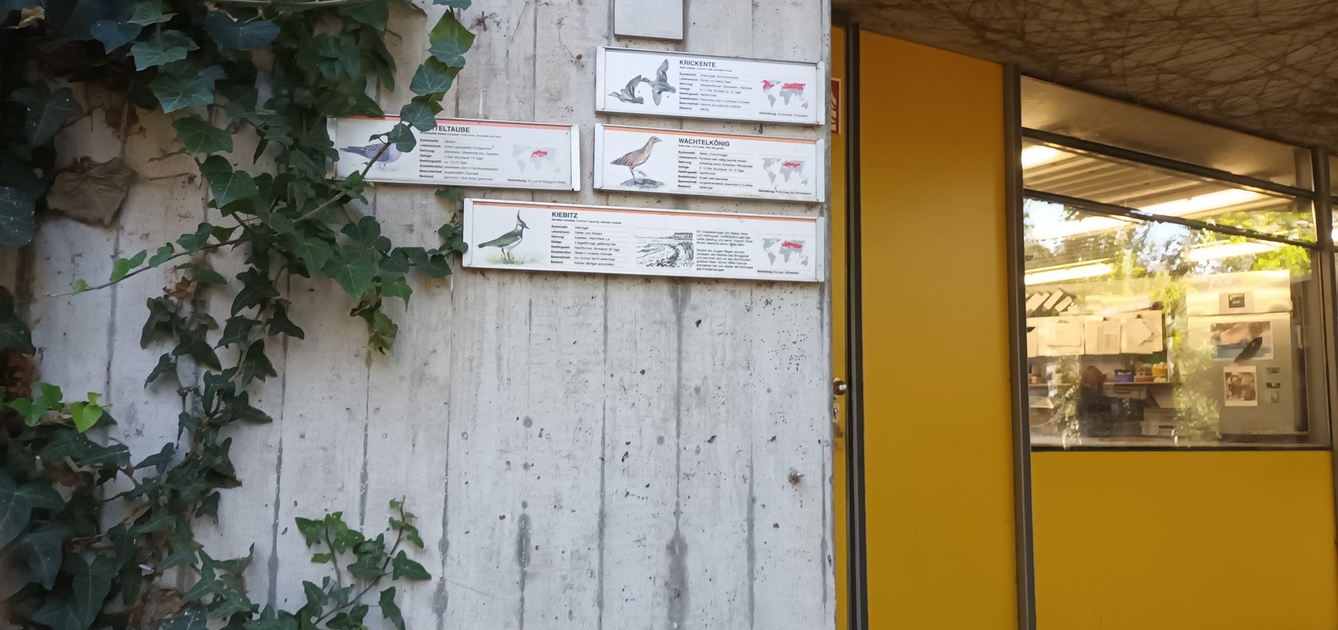 Signage Example European Aviary