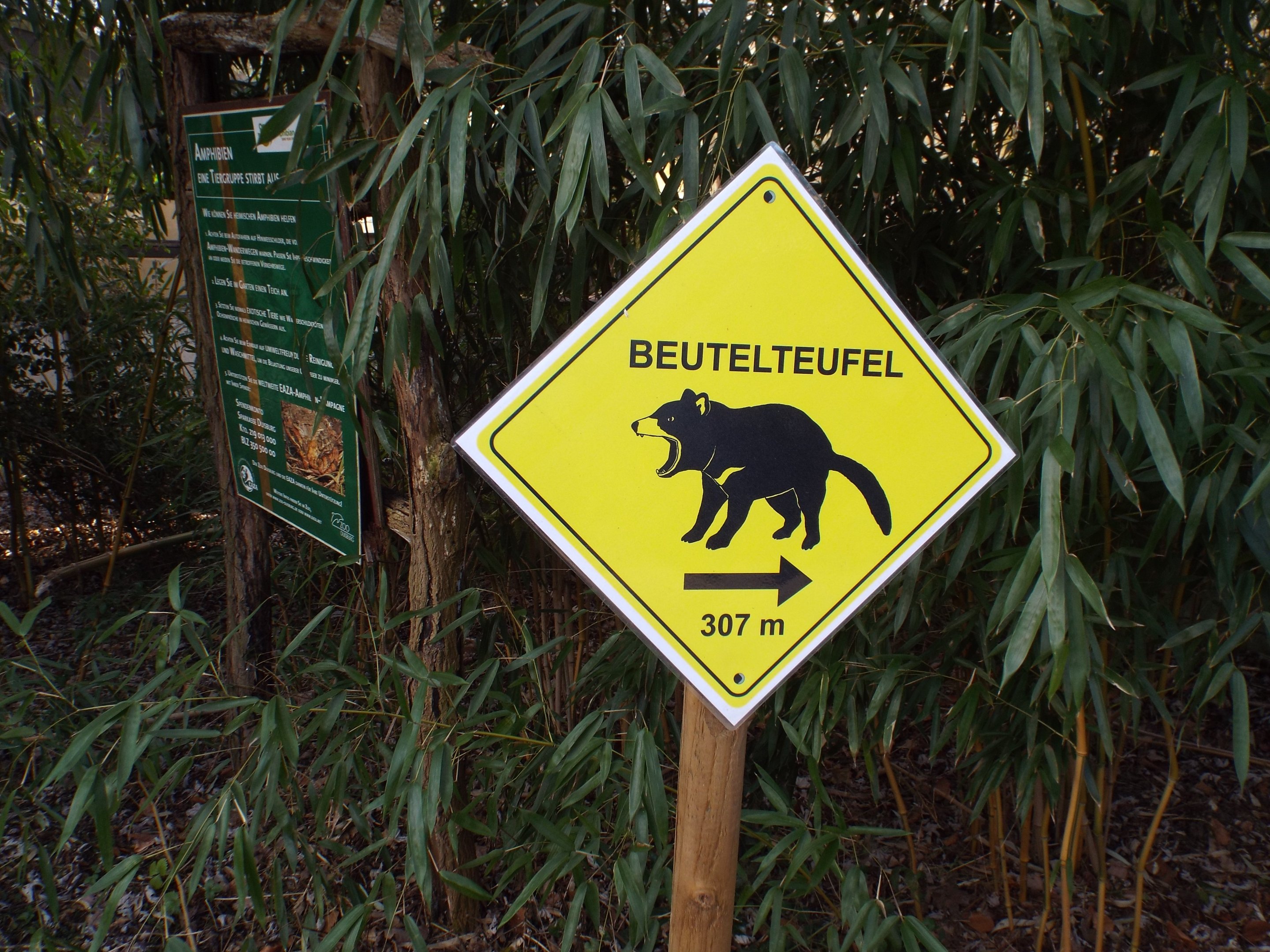 Signage example for Tasmanian Devil