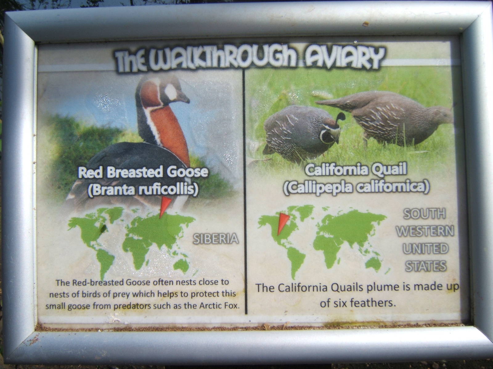 Signage example for walk through aviary