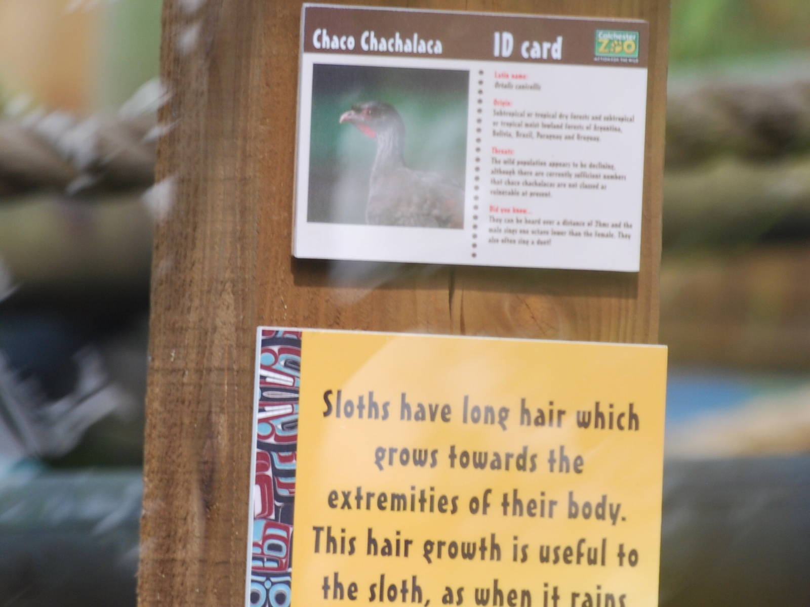 Signage example from new South American walkthrough