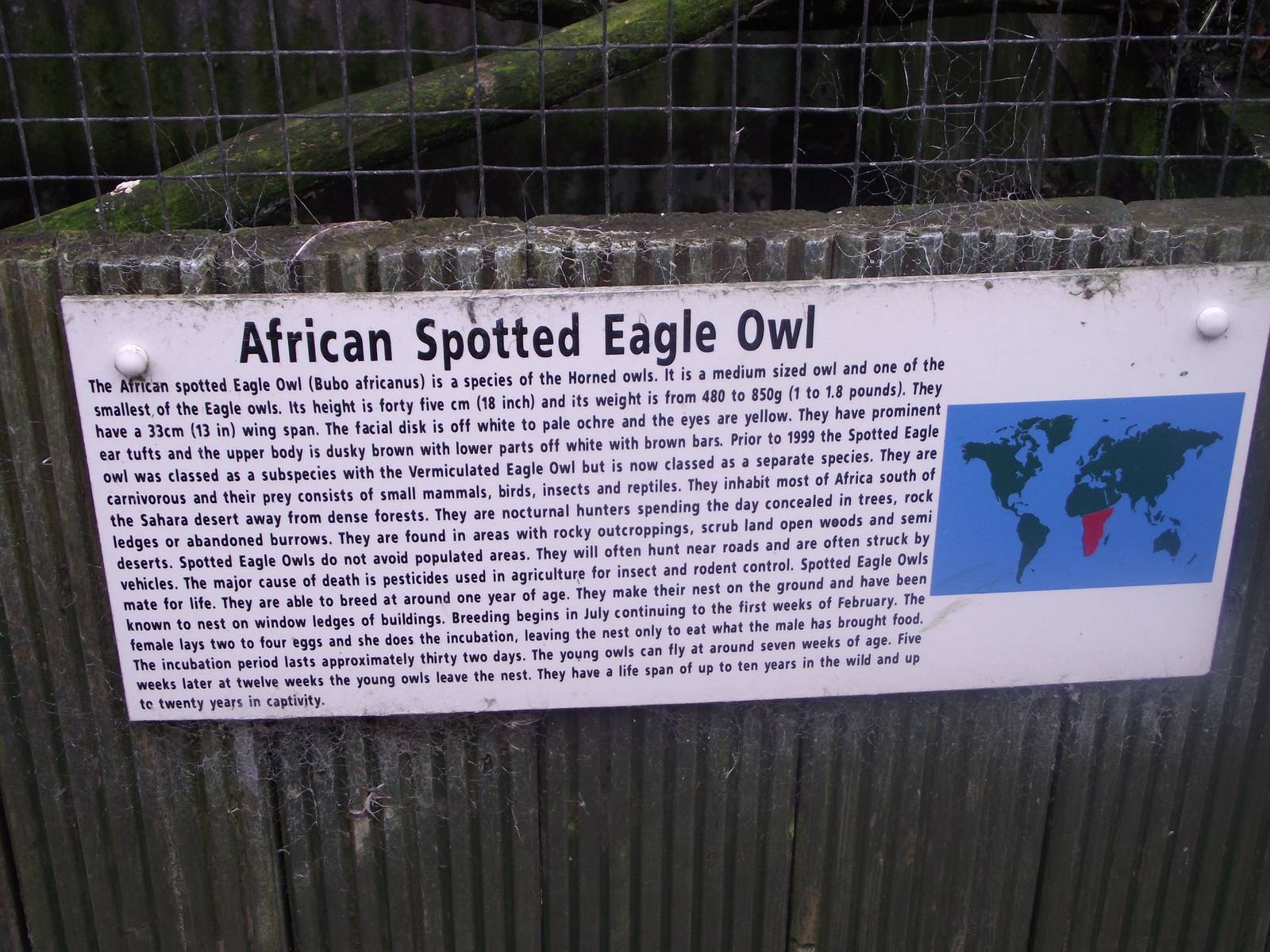 Signage Example, Gauntlet 2010