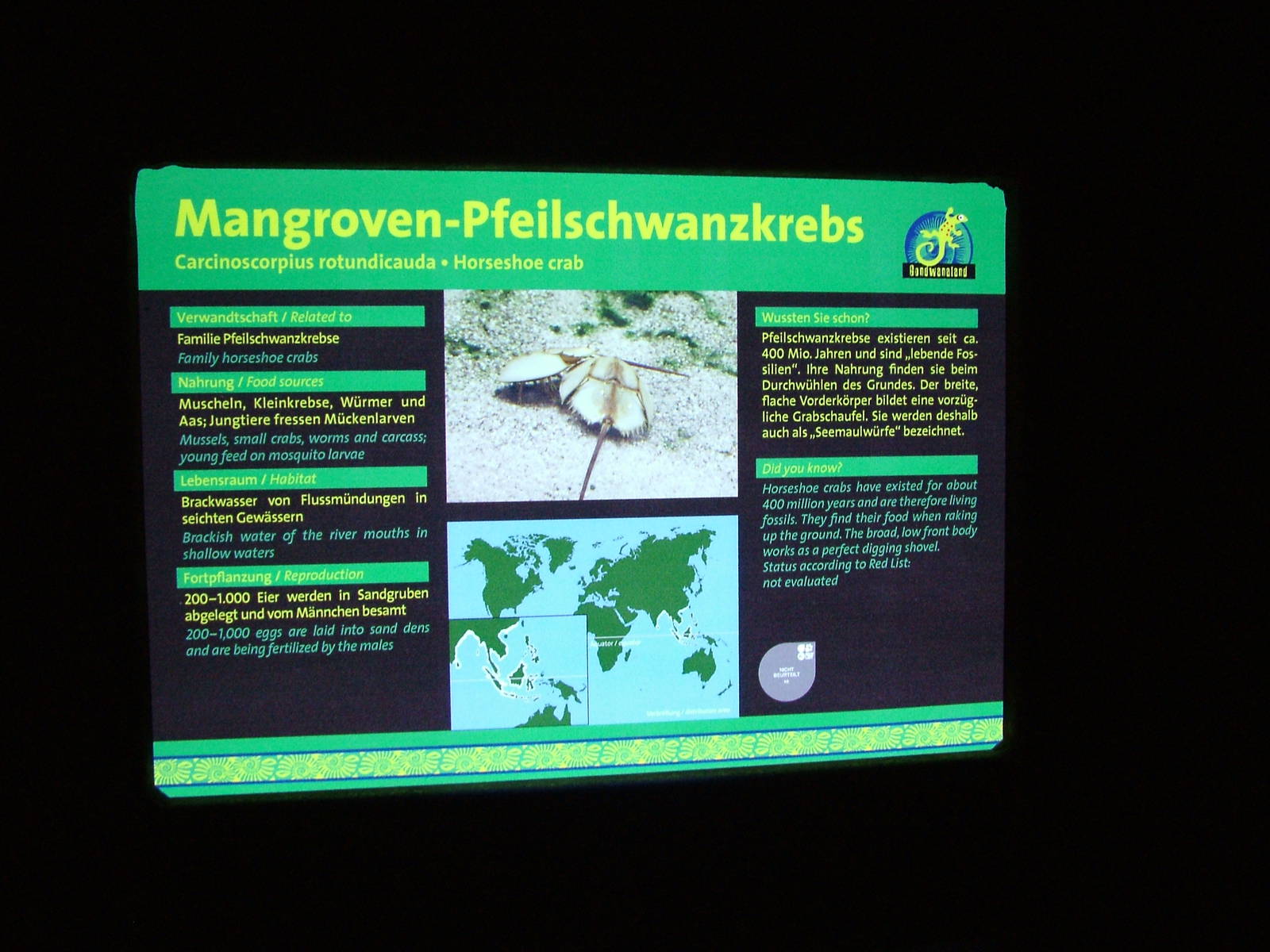 Signage Example - Gondwanaland, Leipzig, 02/09/11