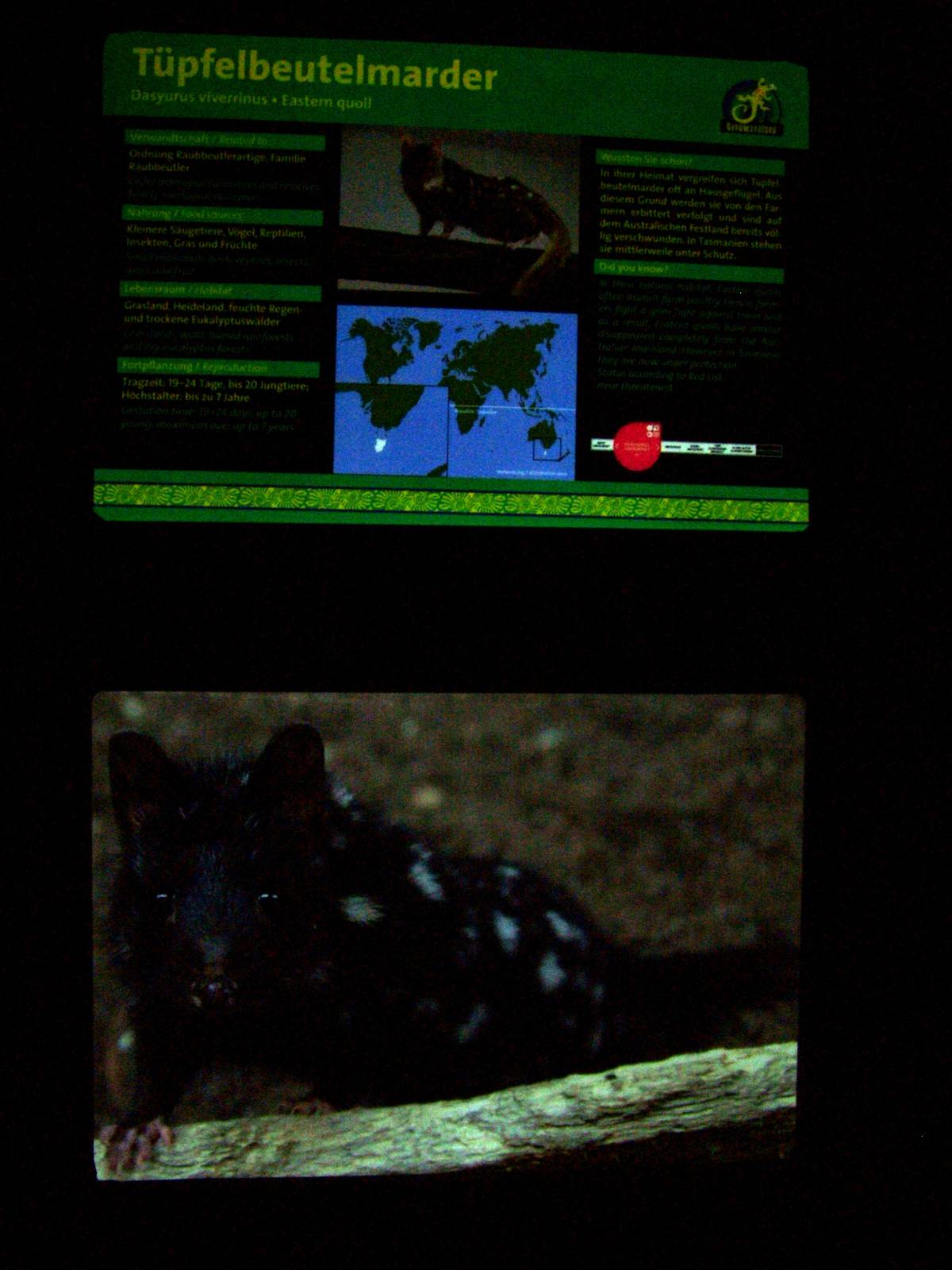 Signage Example - Gondwanaland, Leipzig, 02/09/11