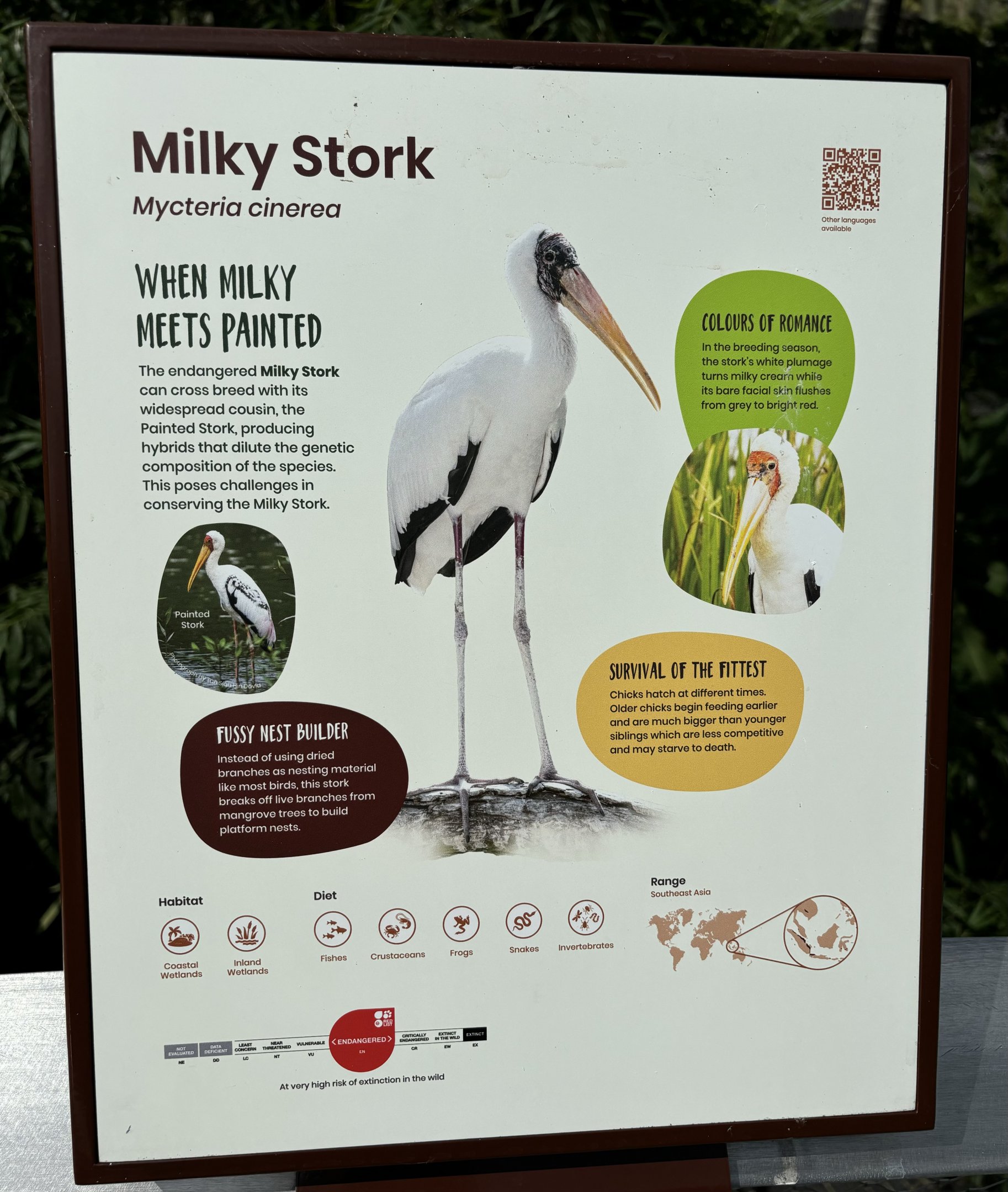 Signage Example in 2-Acre Wings of Asia Aviary