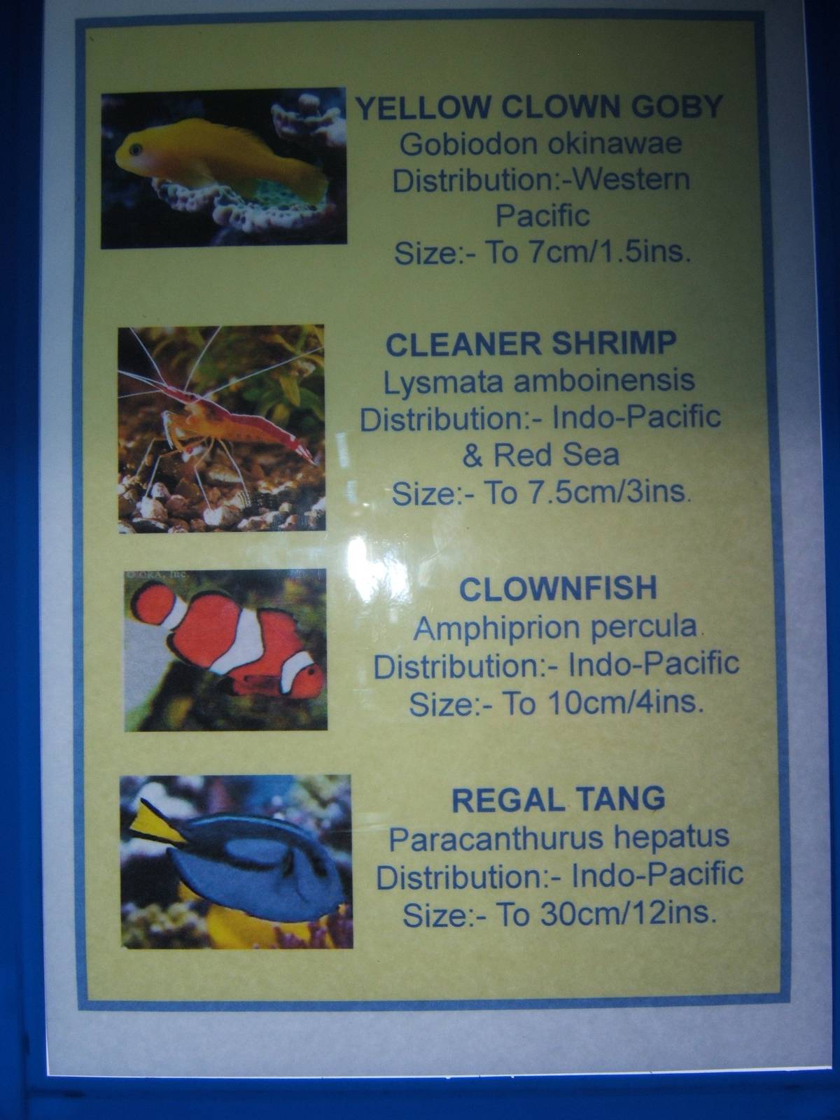Signage example in Aquarium