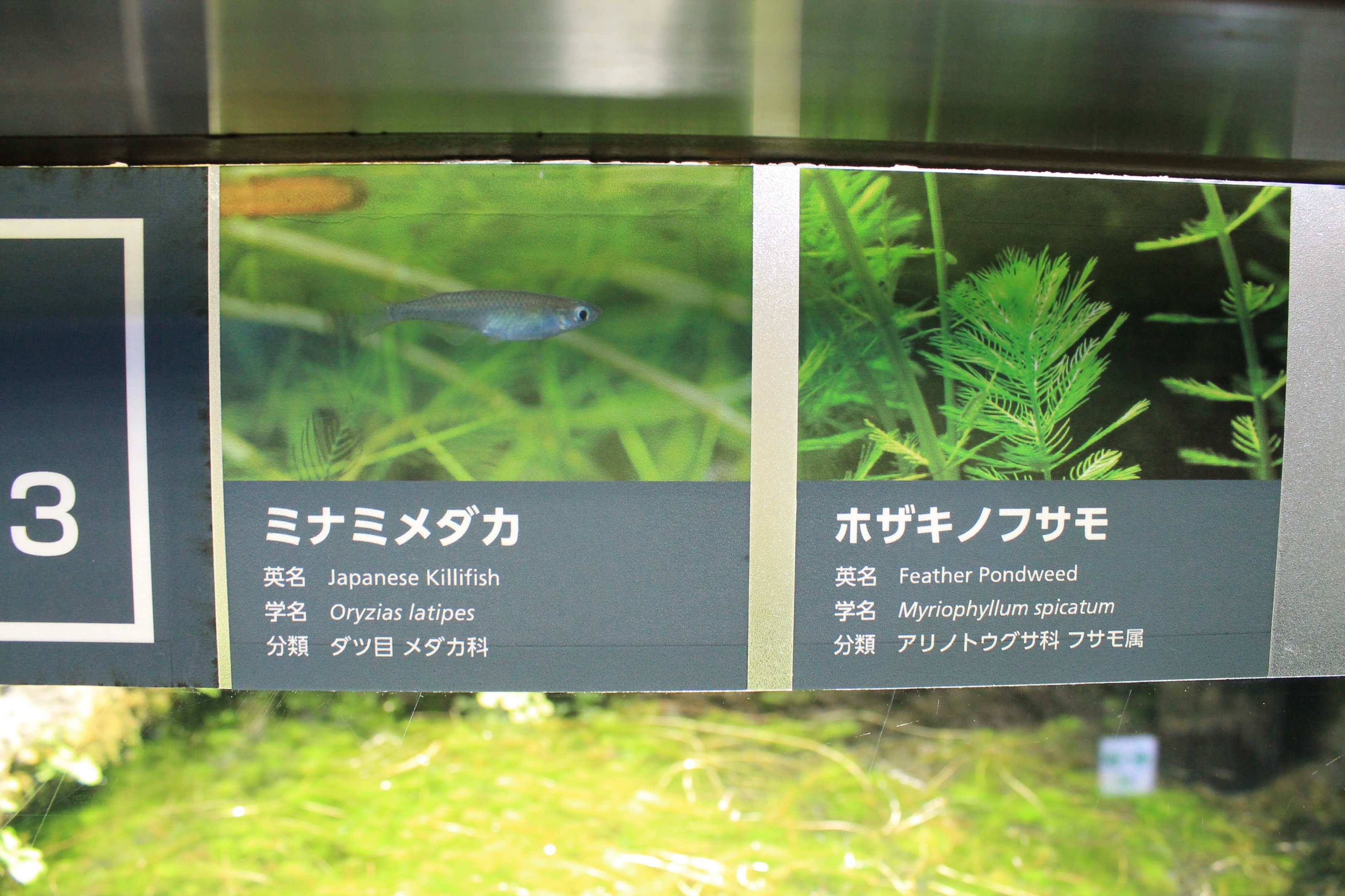 signage example in Aquatic Life Building