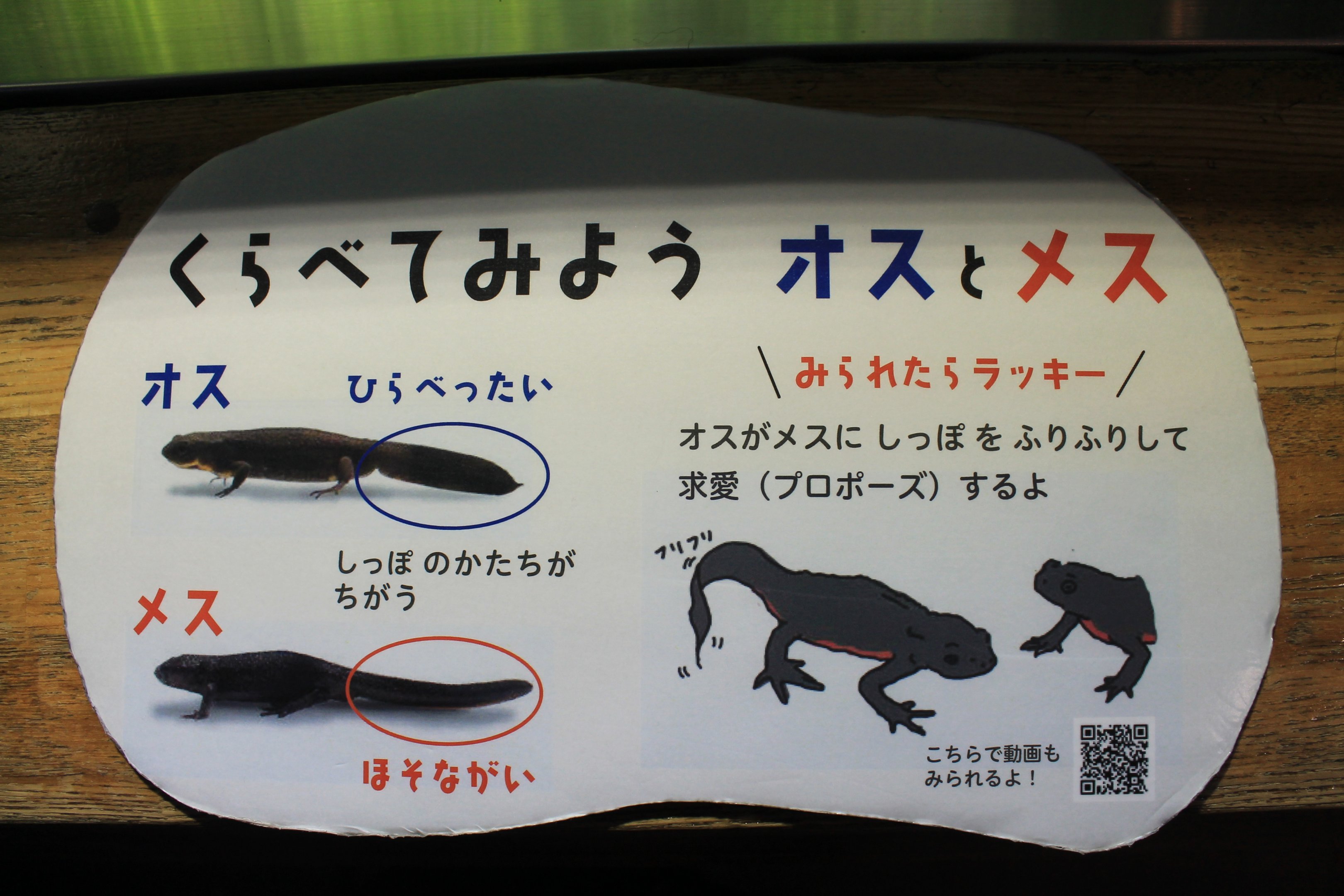 signage example in Aquatic Life Building