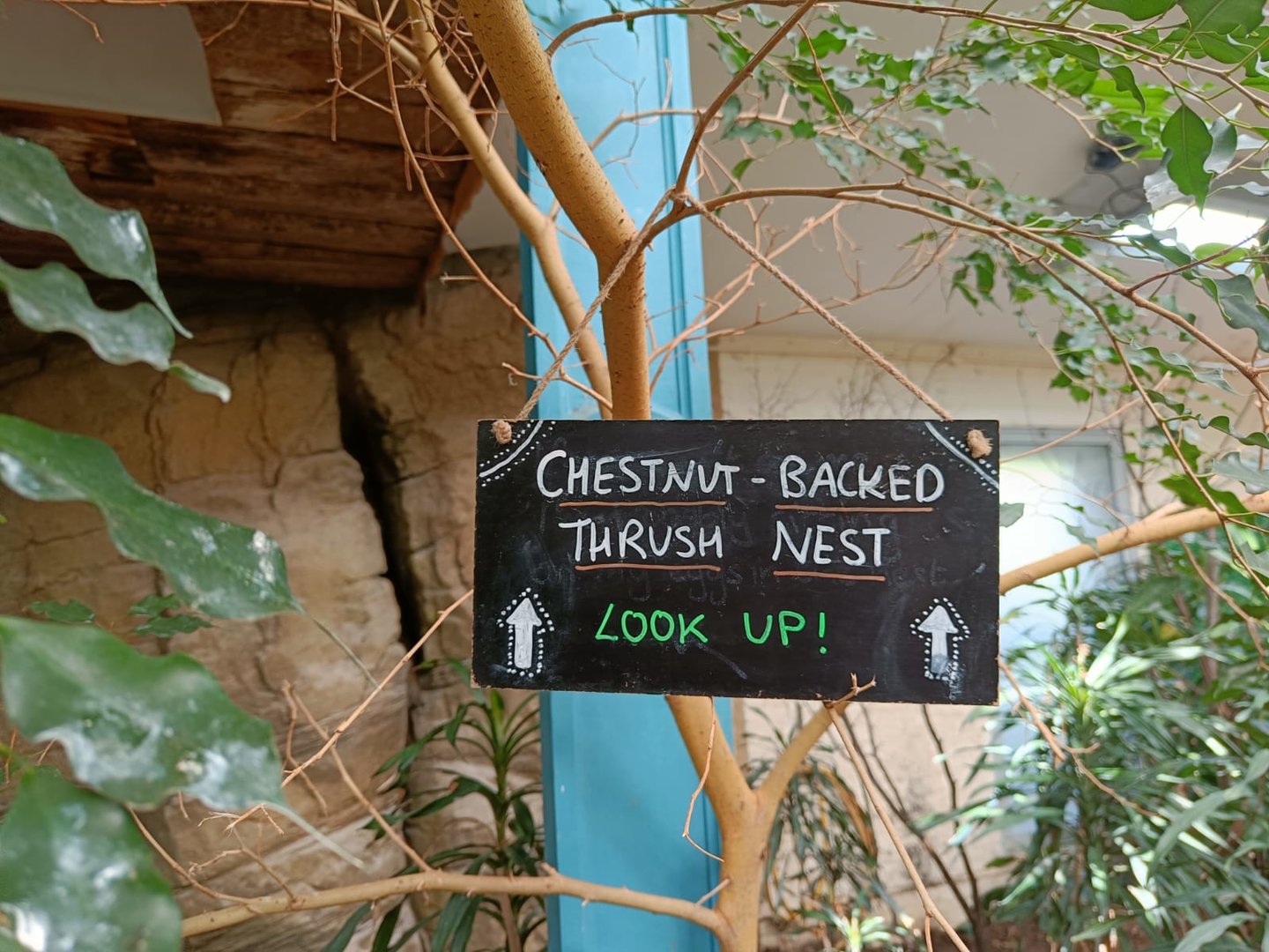 Signage example in Blackburn Pavilion