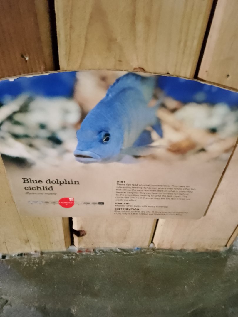 Signage  Example in Crocodile house