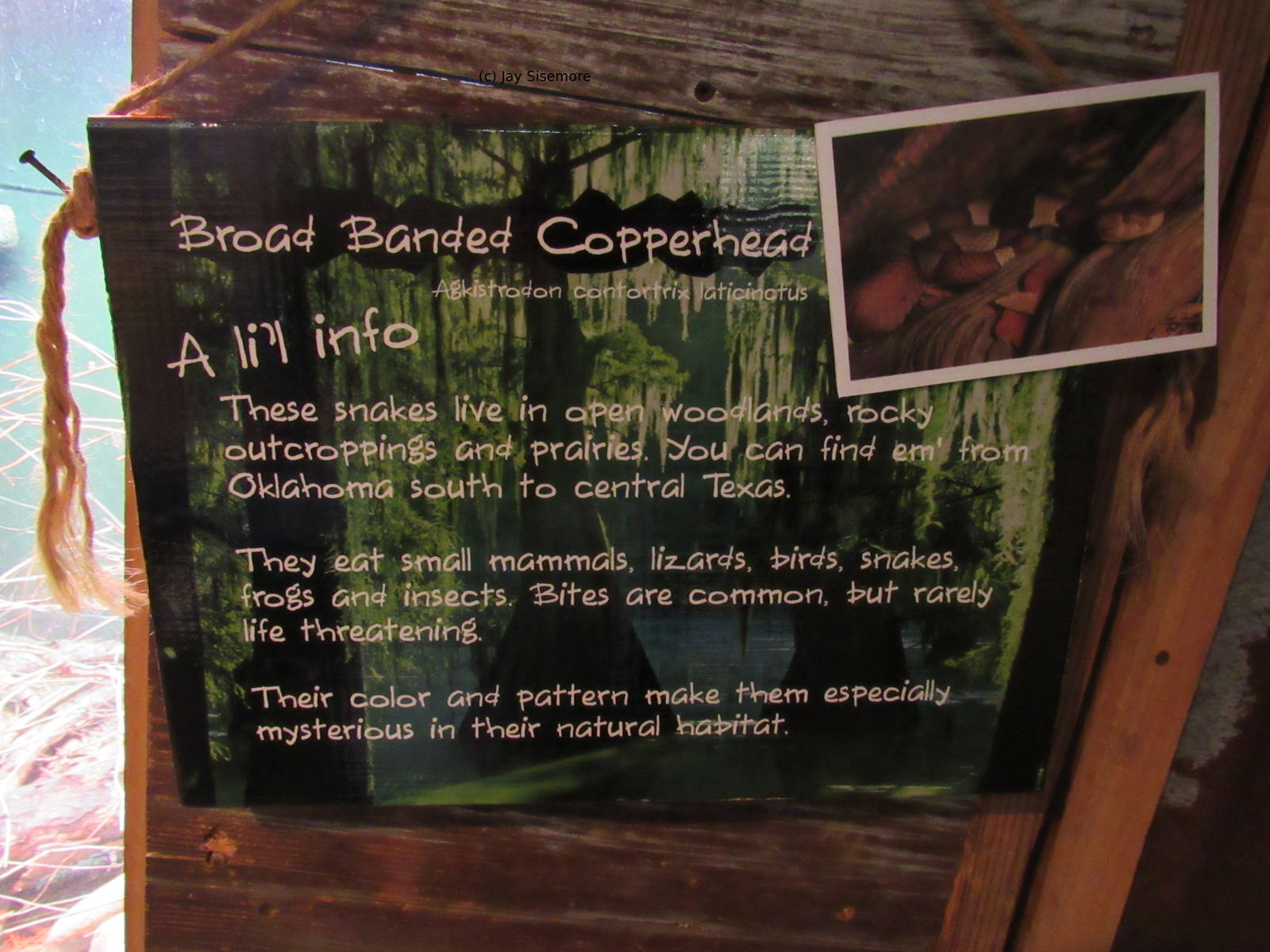 Signage Example in Ghosts of the Bayou