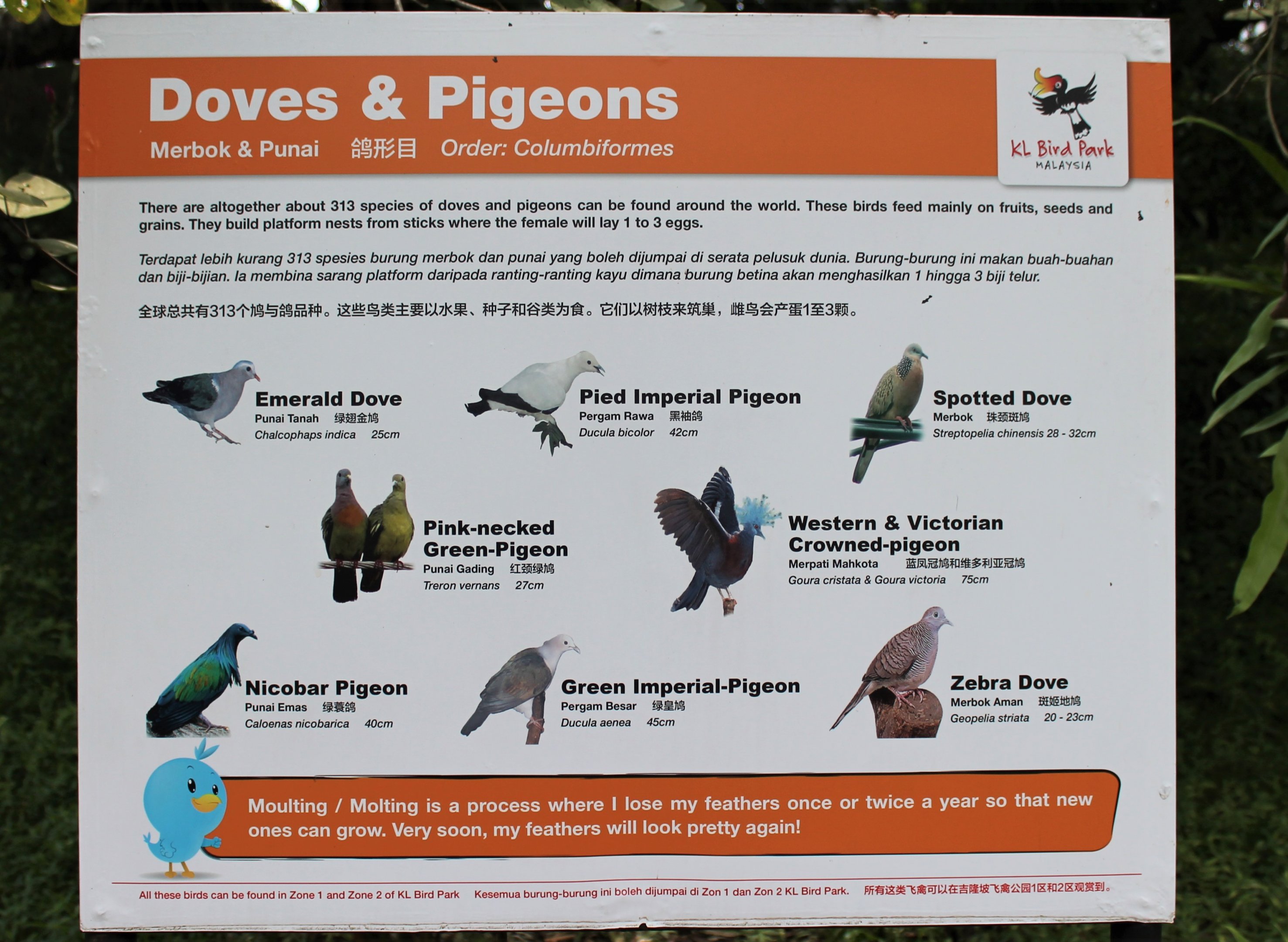 Signage example in main walk-through aviary