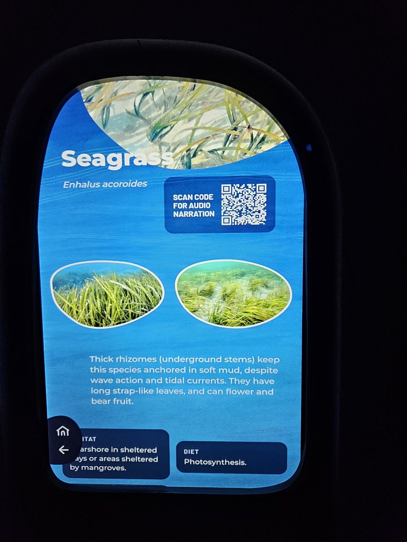 Signage example in Ocean Pavilion