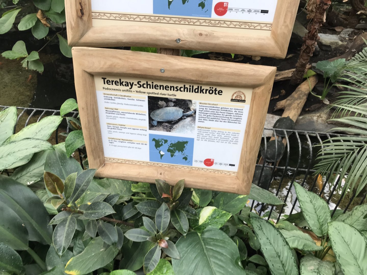 Signage example in Reptile House 280118