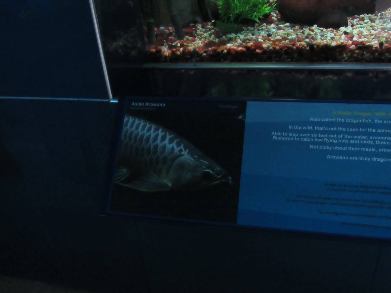 Signage example in Richard Friedrich Aquarium