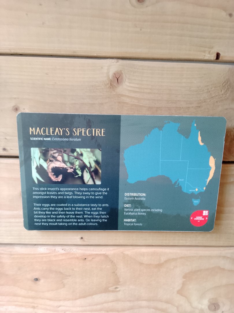 Signage Example in the Koala house
