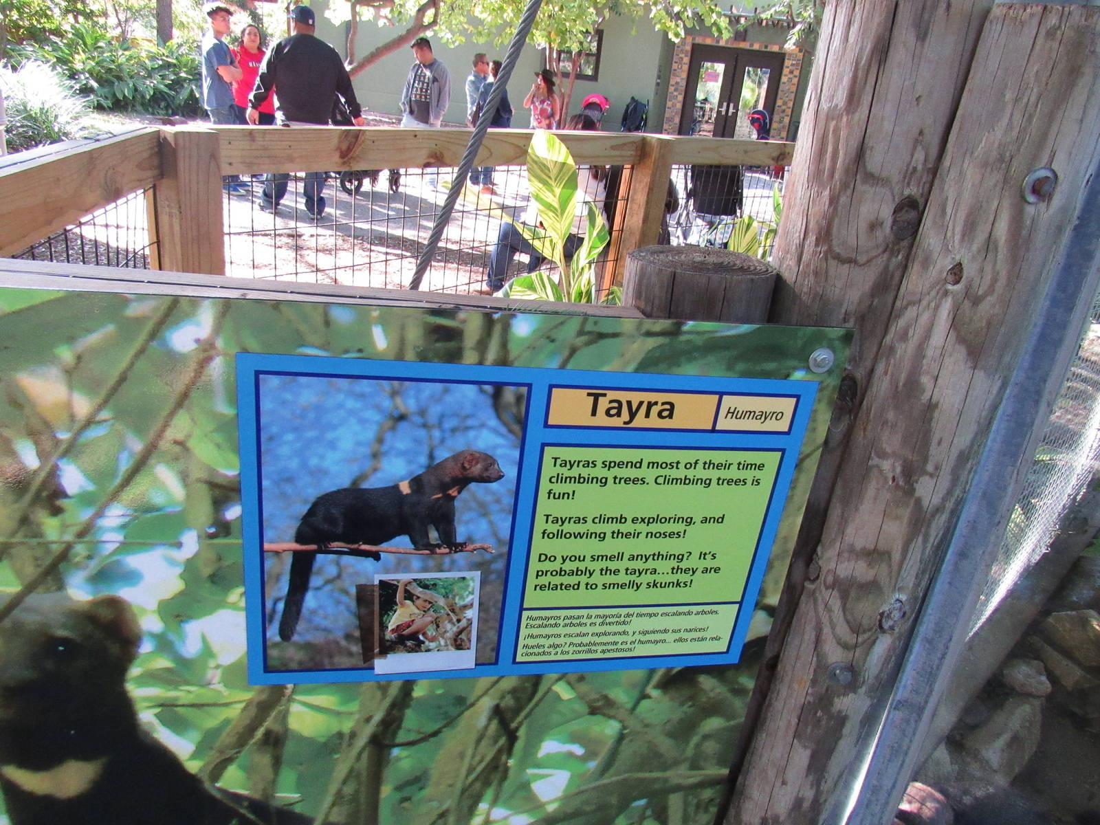 Signage Example in Tiny Tot Nature Spot
