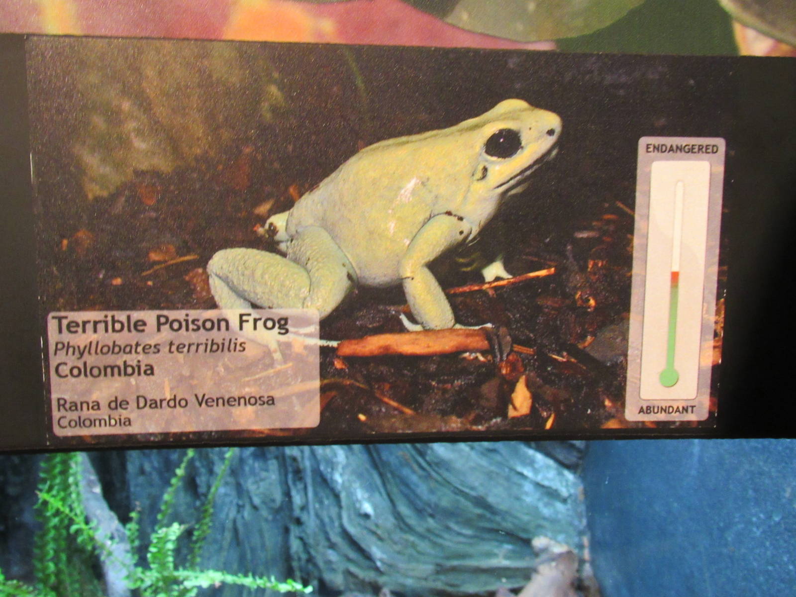 Signage example in Toadally