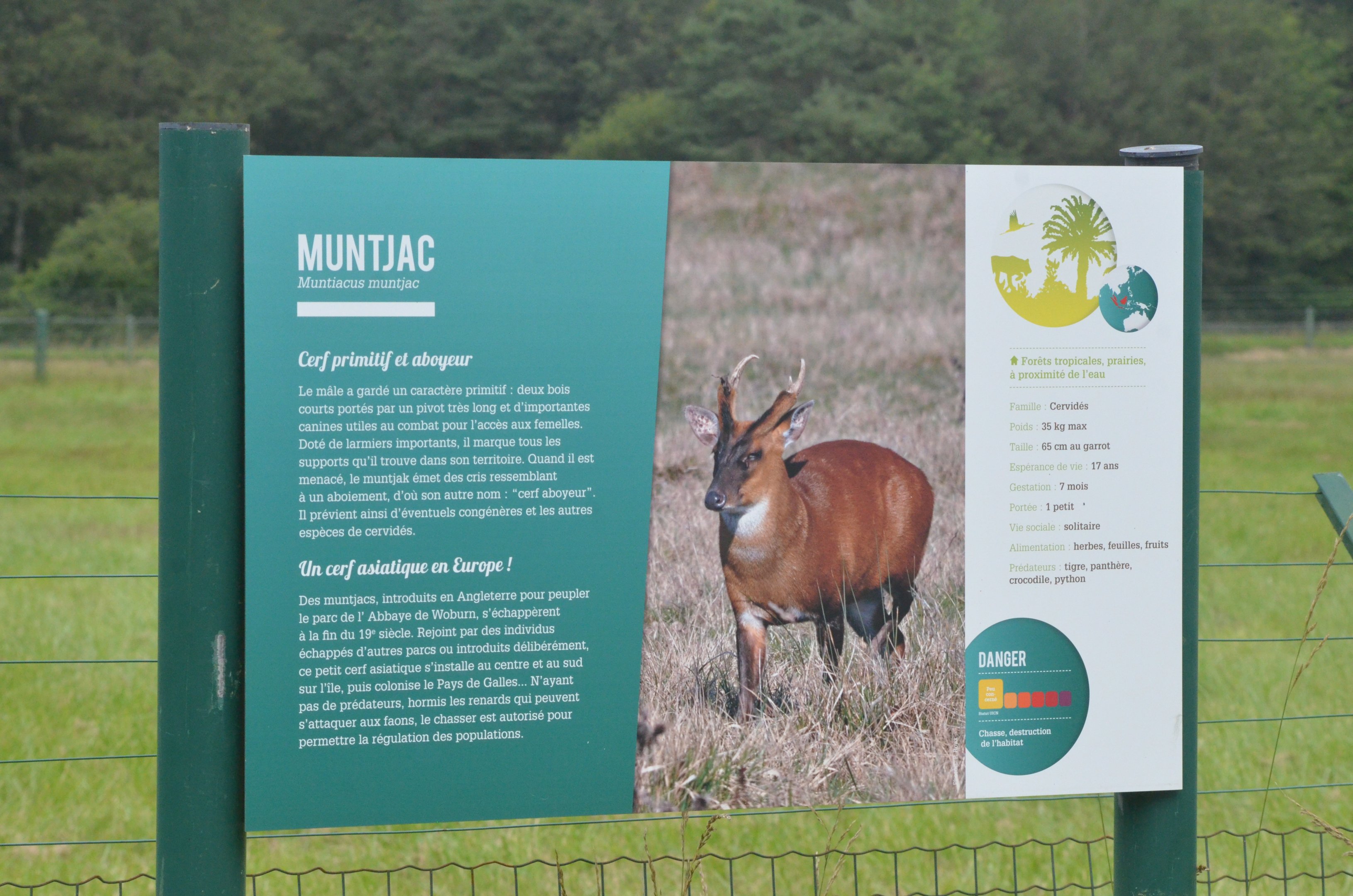 Signage Example (Indian Muntjac) at Haute-Touche, 14/06/18