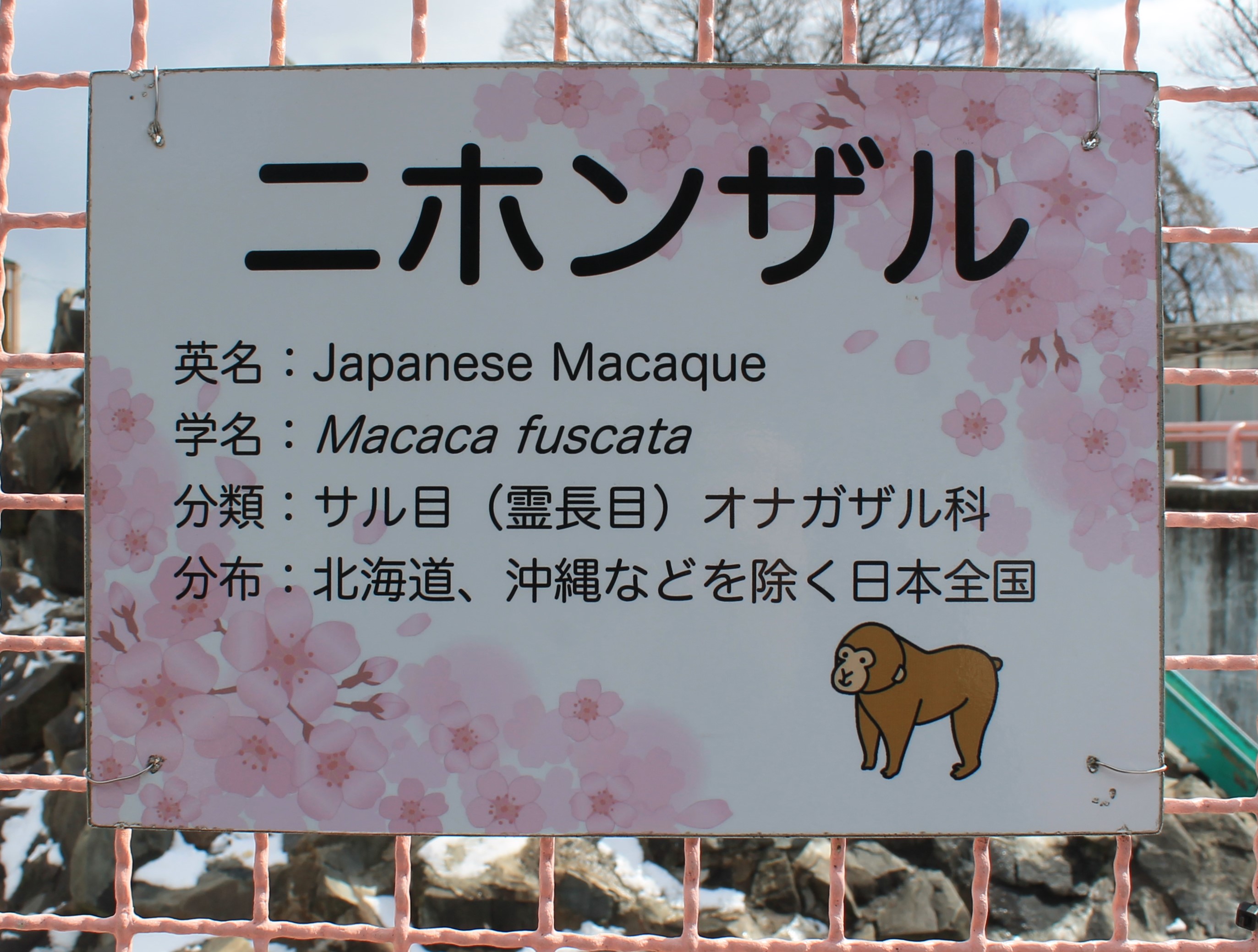 signage example, Joyama Zoo