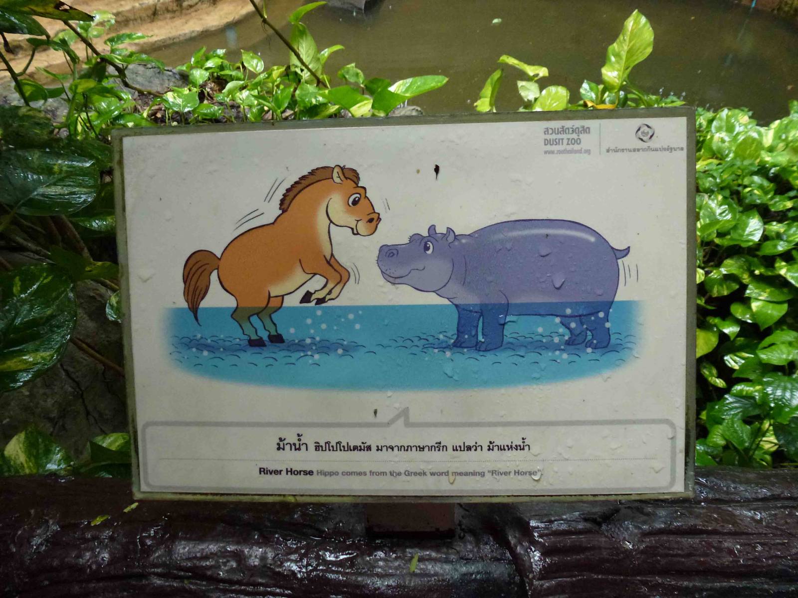 Signage example, July 2013.